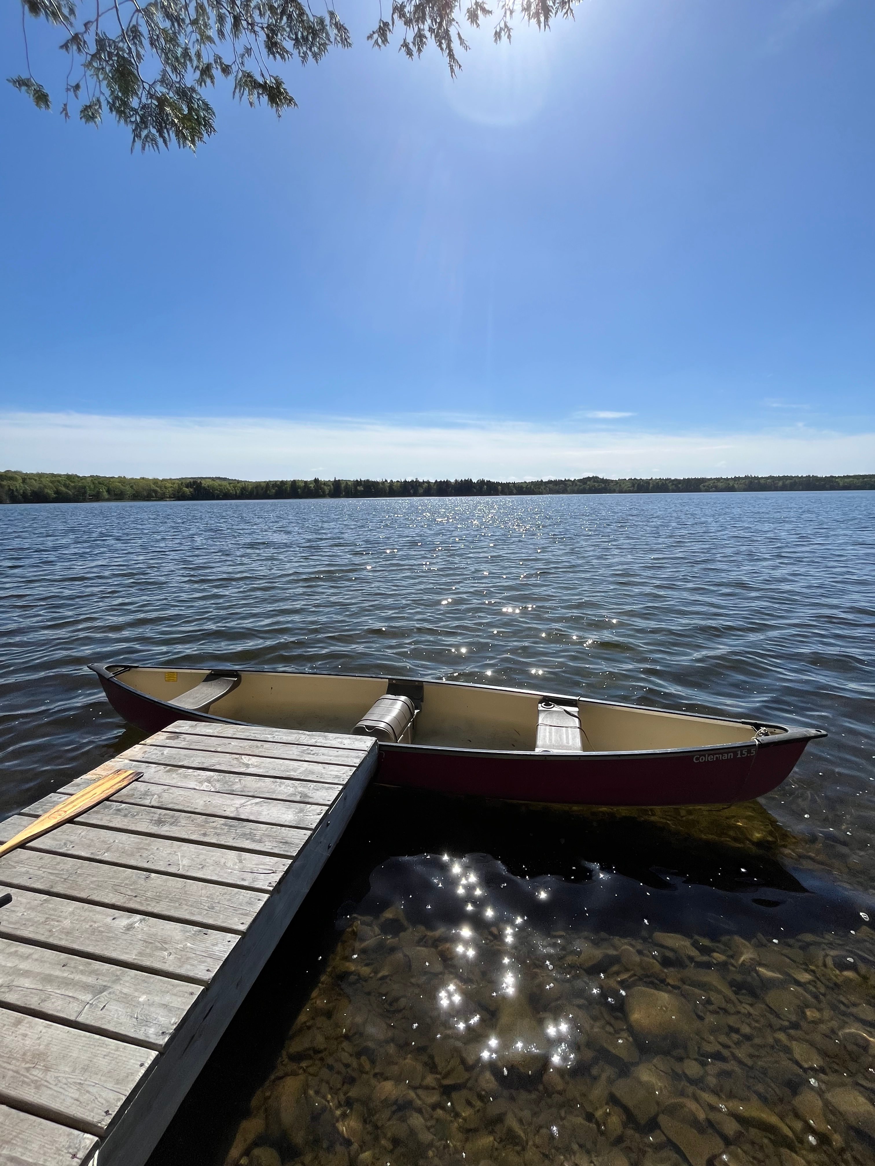 Private dock and canoe to use at cabin ! 
