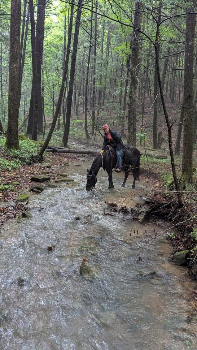 Rustling Pines Horse Camp