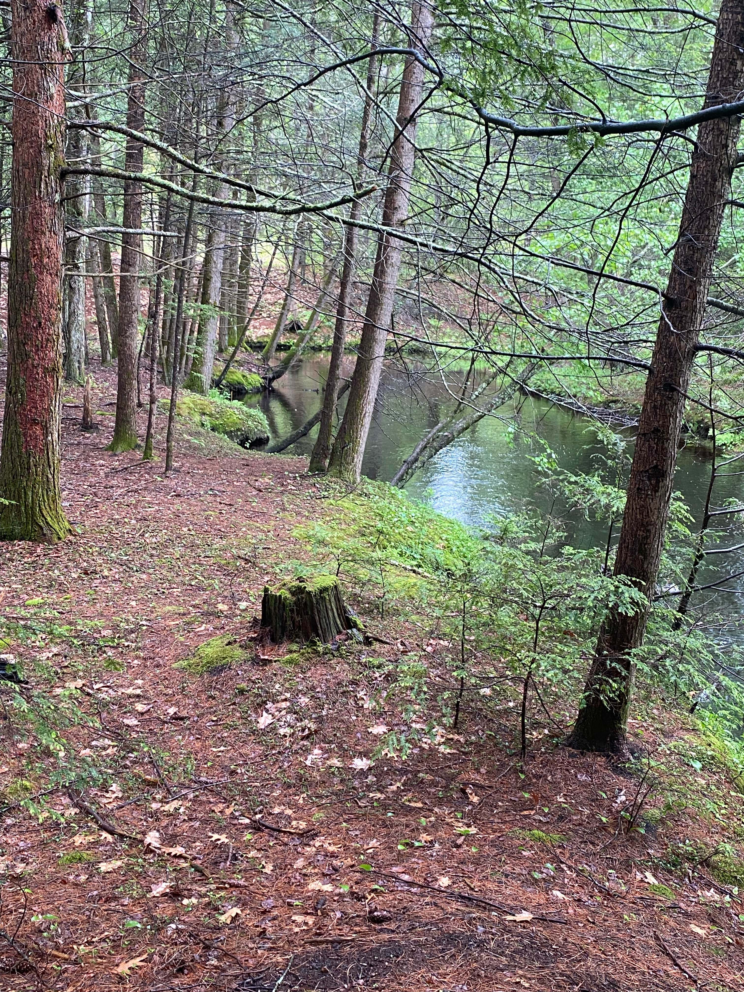 Little River Retreat