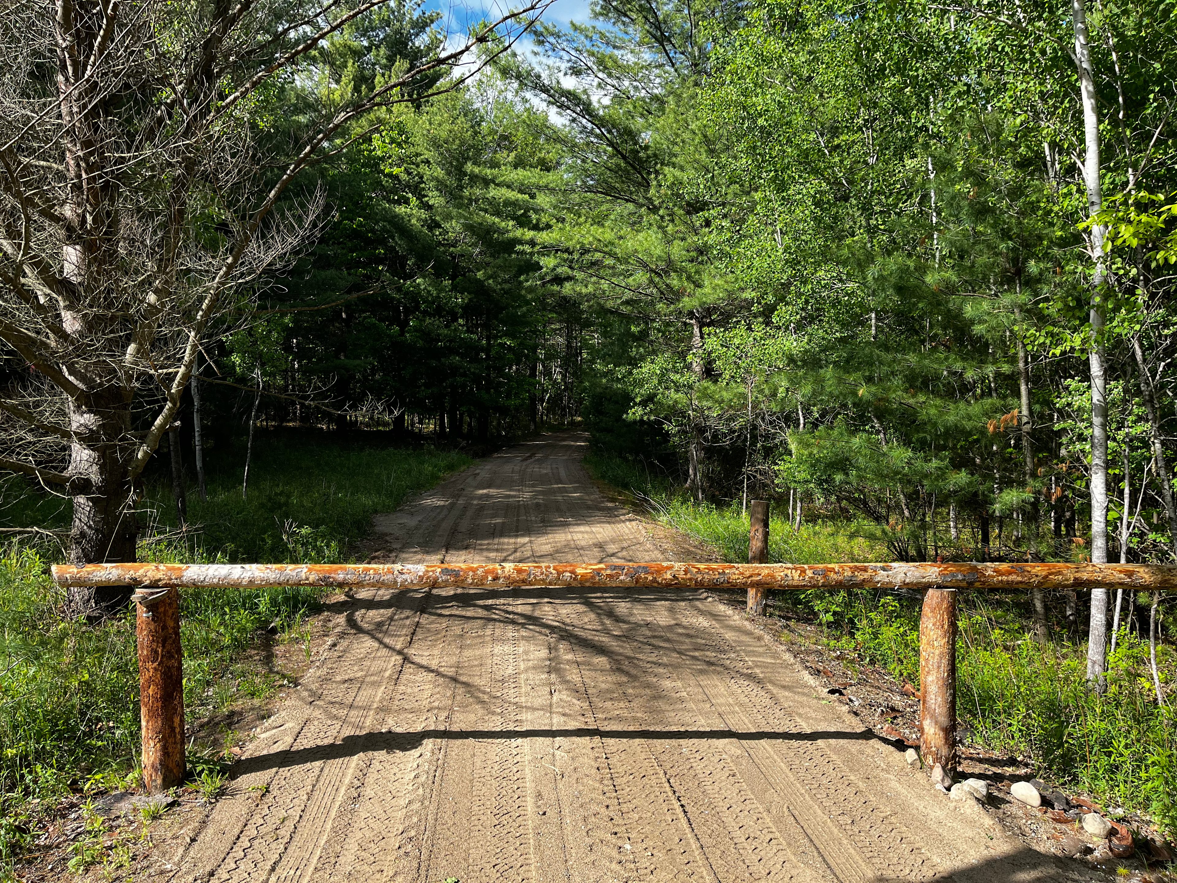 Trumbull Pines