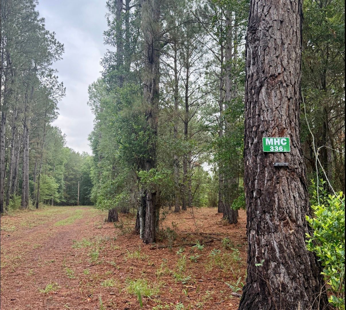 Moody Hollow Camp