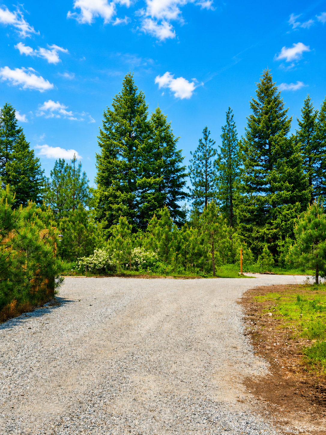 View as you enter the campground from Sylvan Road. Site 1 on your left and Site 2 straight ahead. 