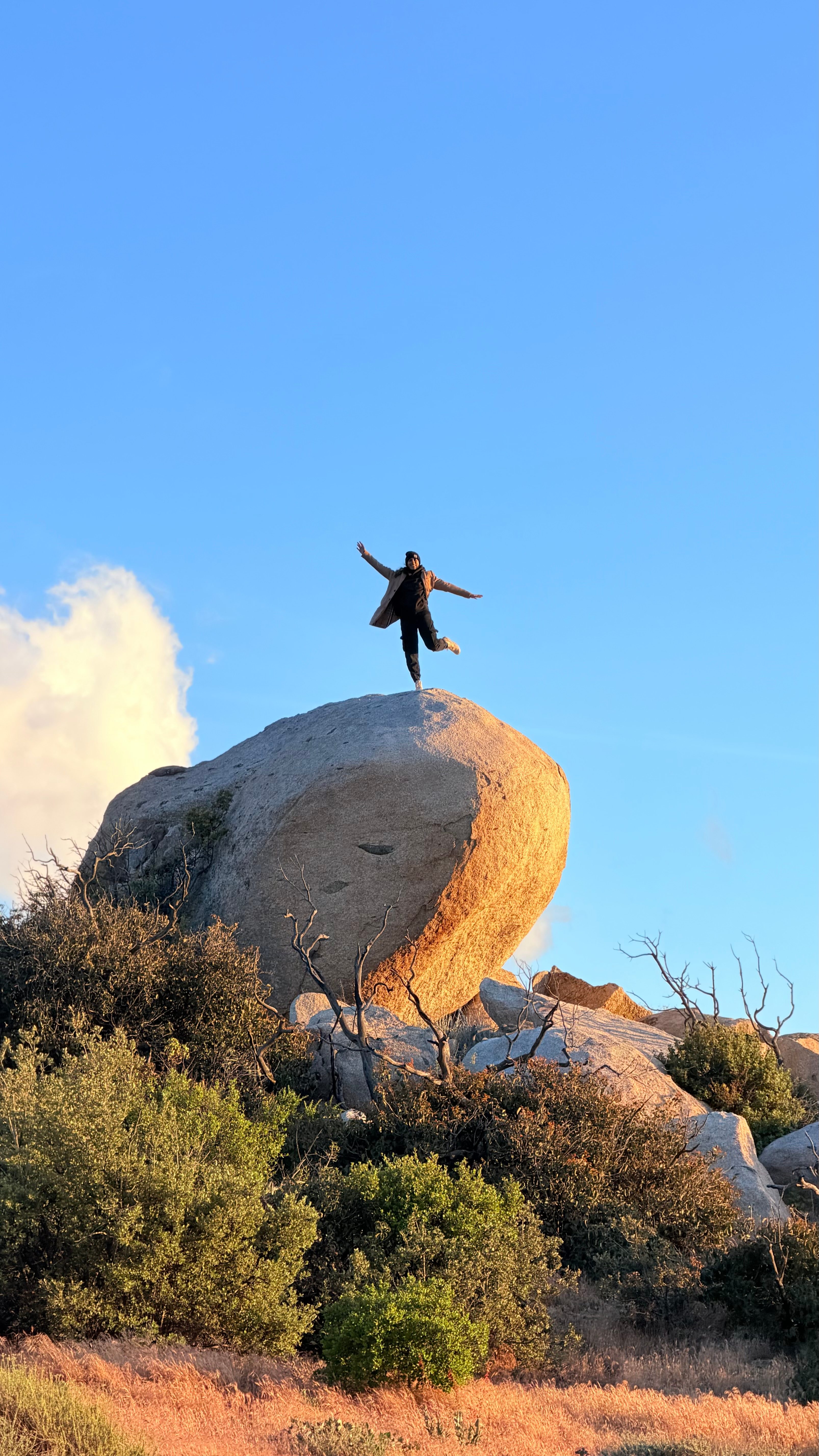 La Salvaje