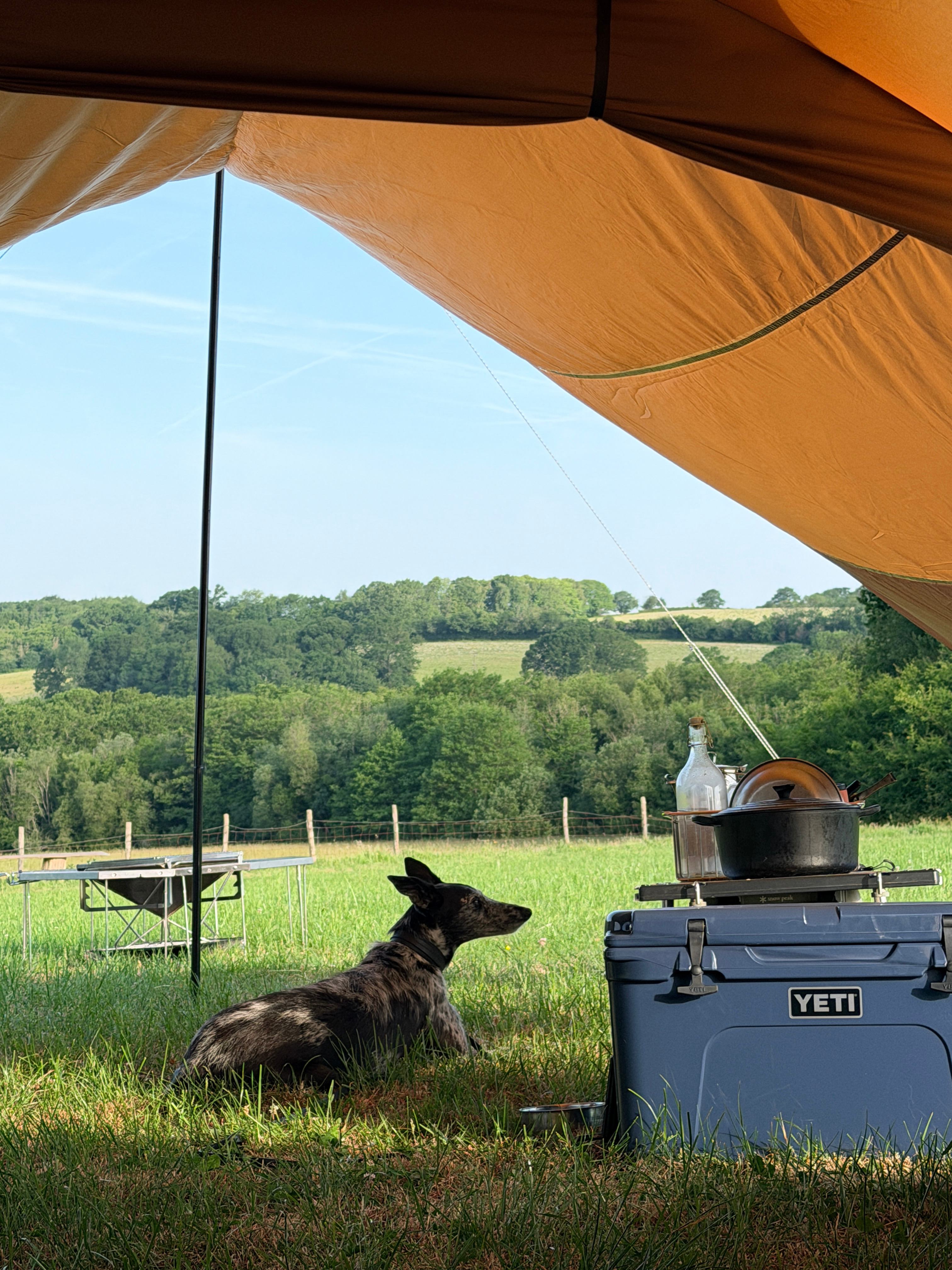 Glassenbury Camping