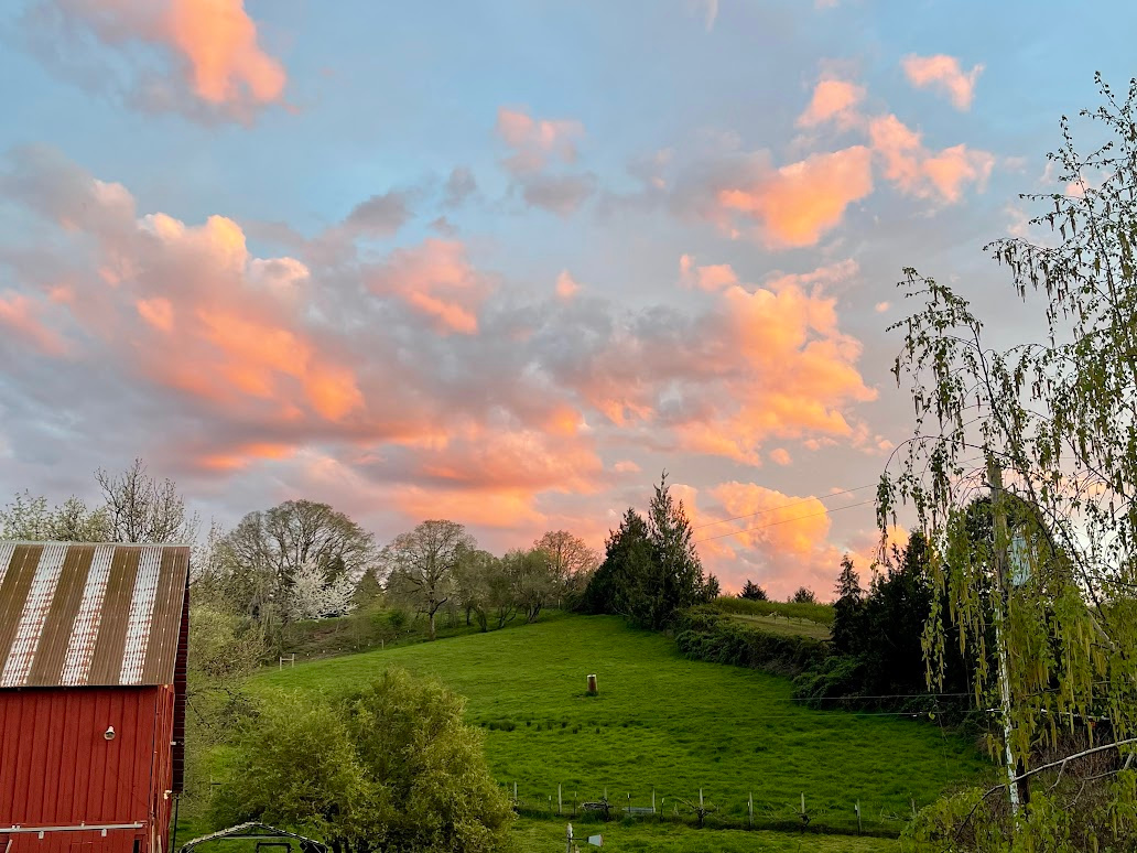 Laurelwood Family Farm