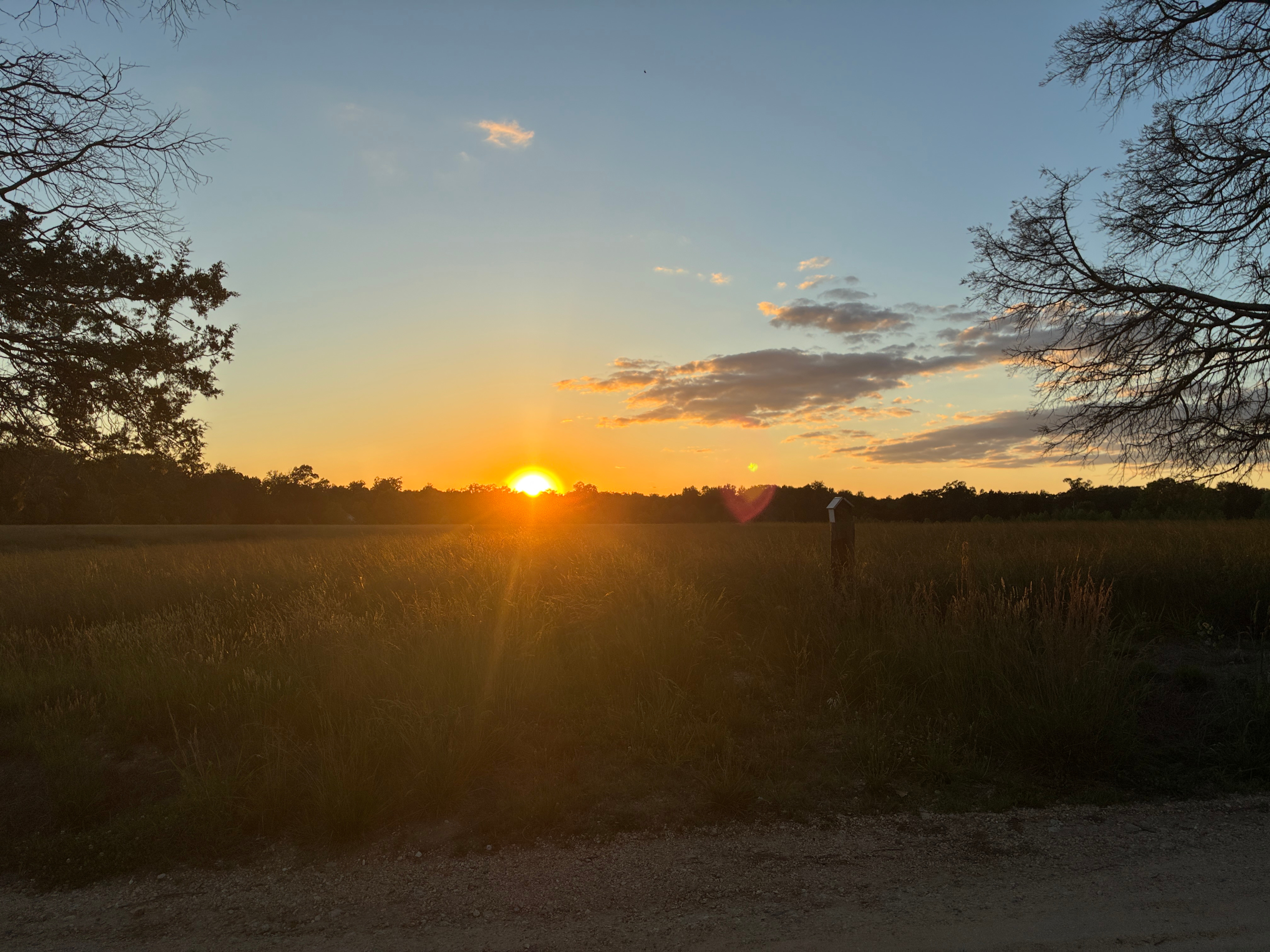 Tranquil Camping by Patuxent River
