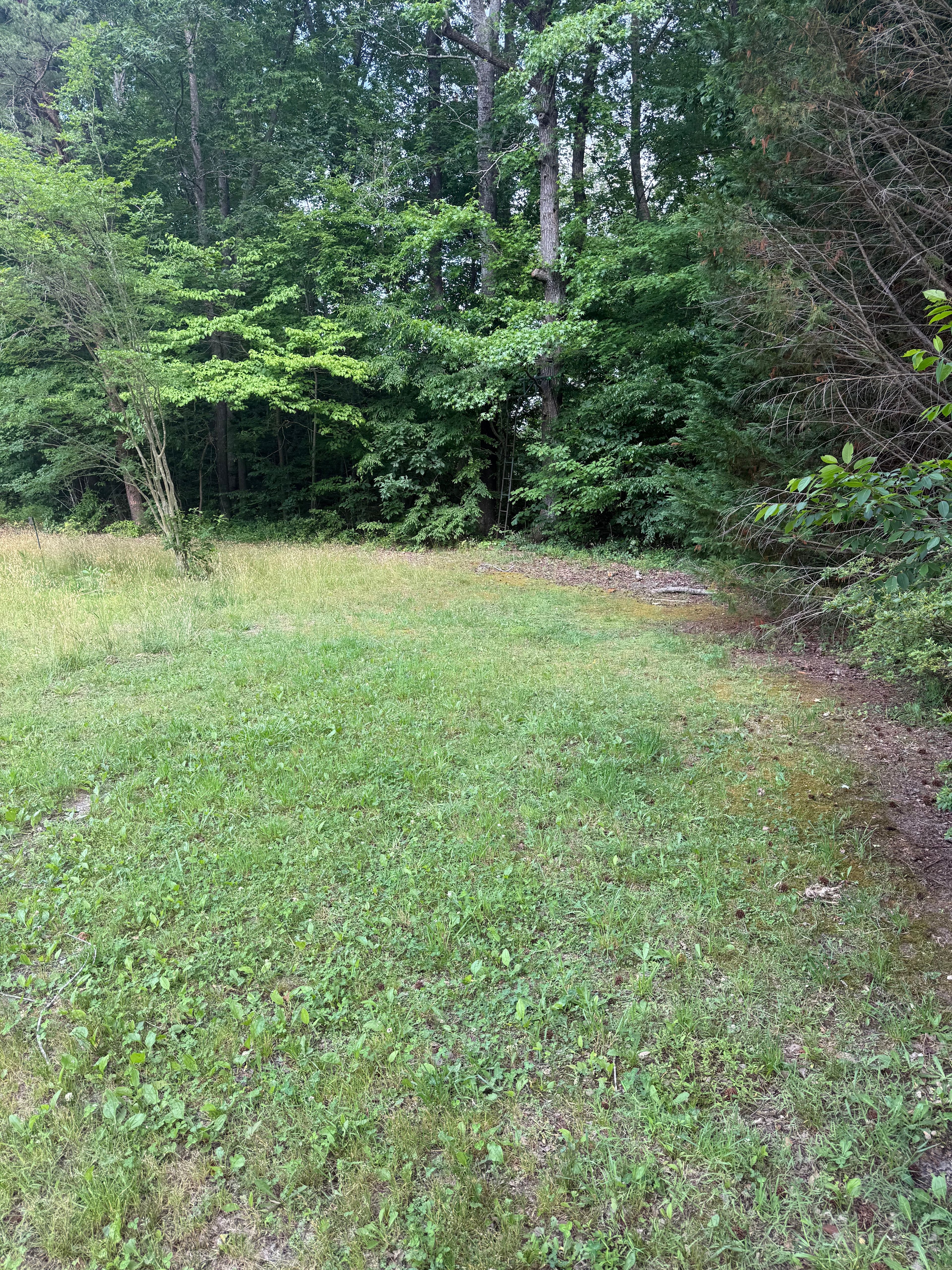 Beavers Lodge