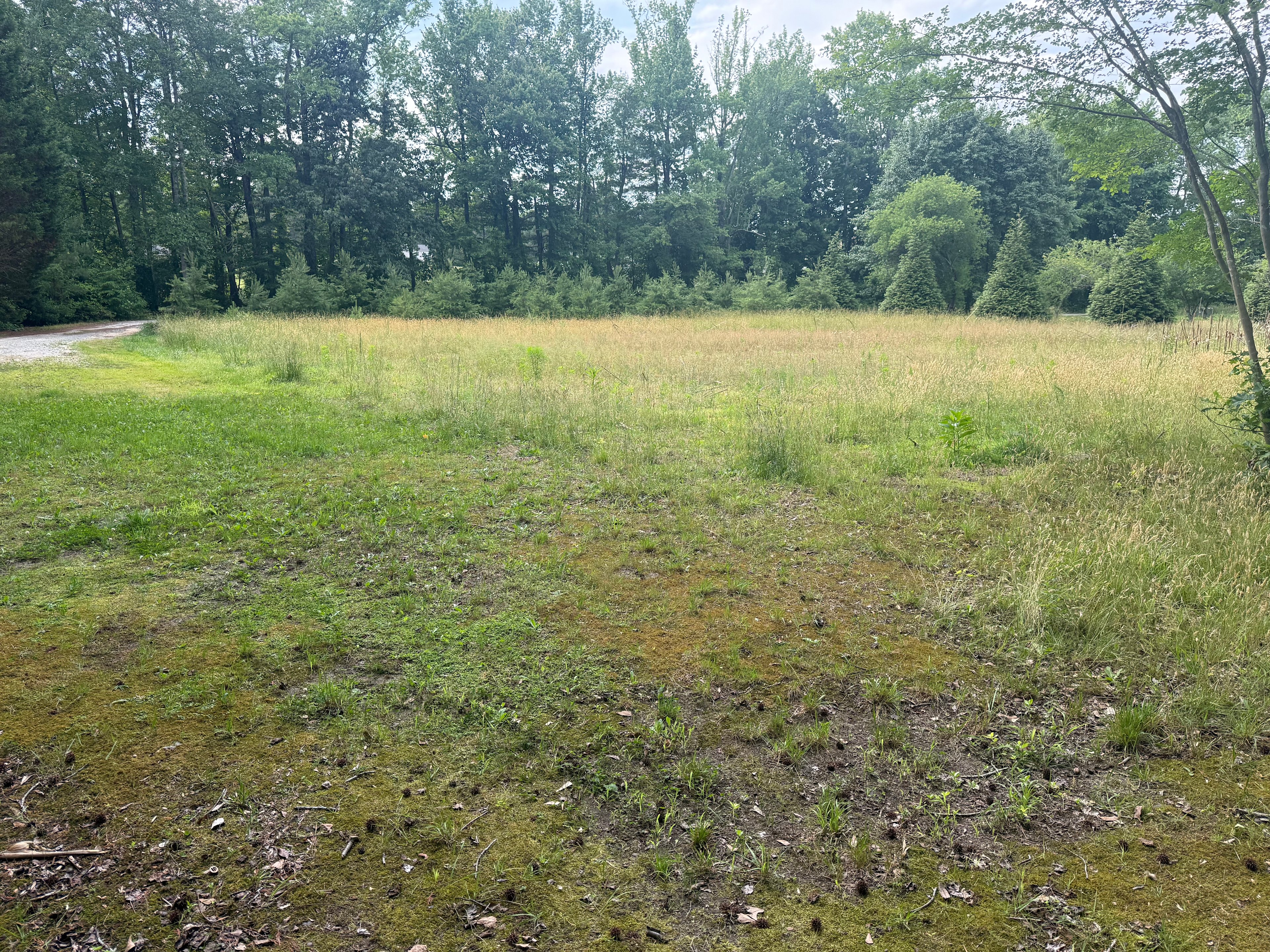 Beavers Lodge