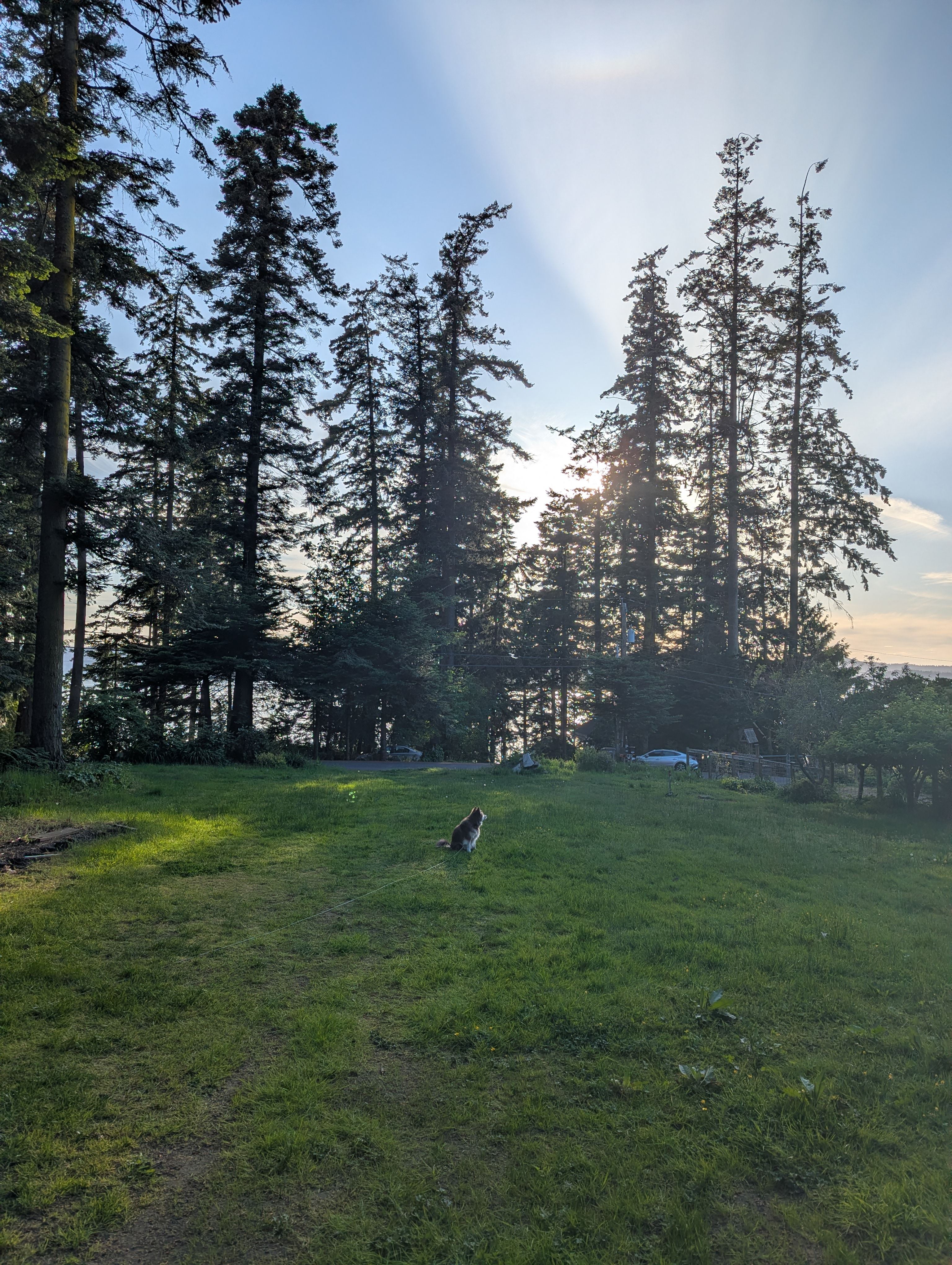 Maple Grove Hideaway