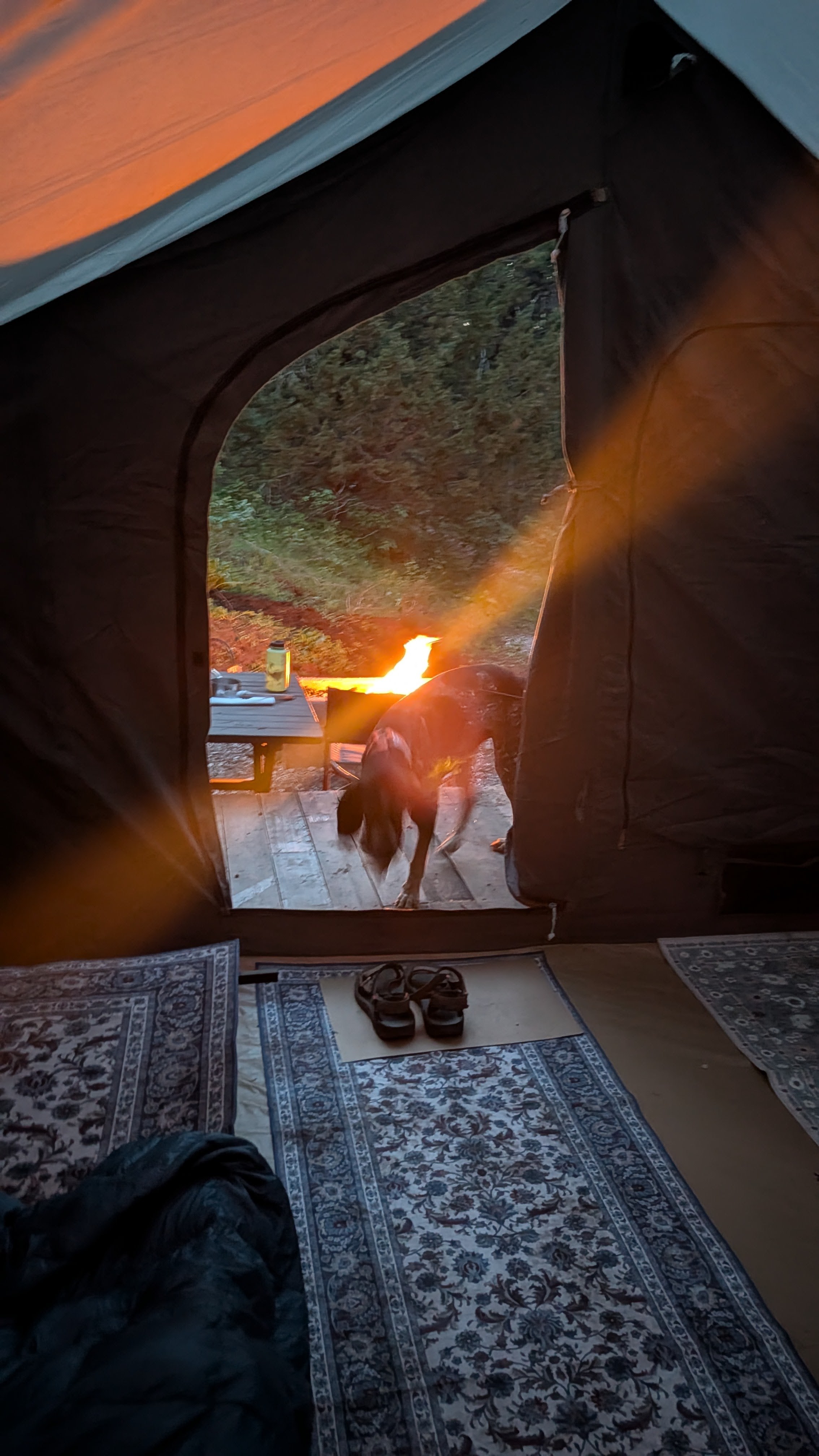 Lava Camp 1