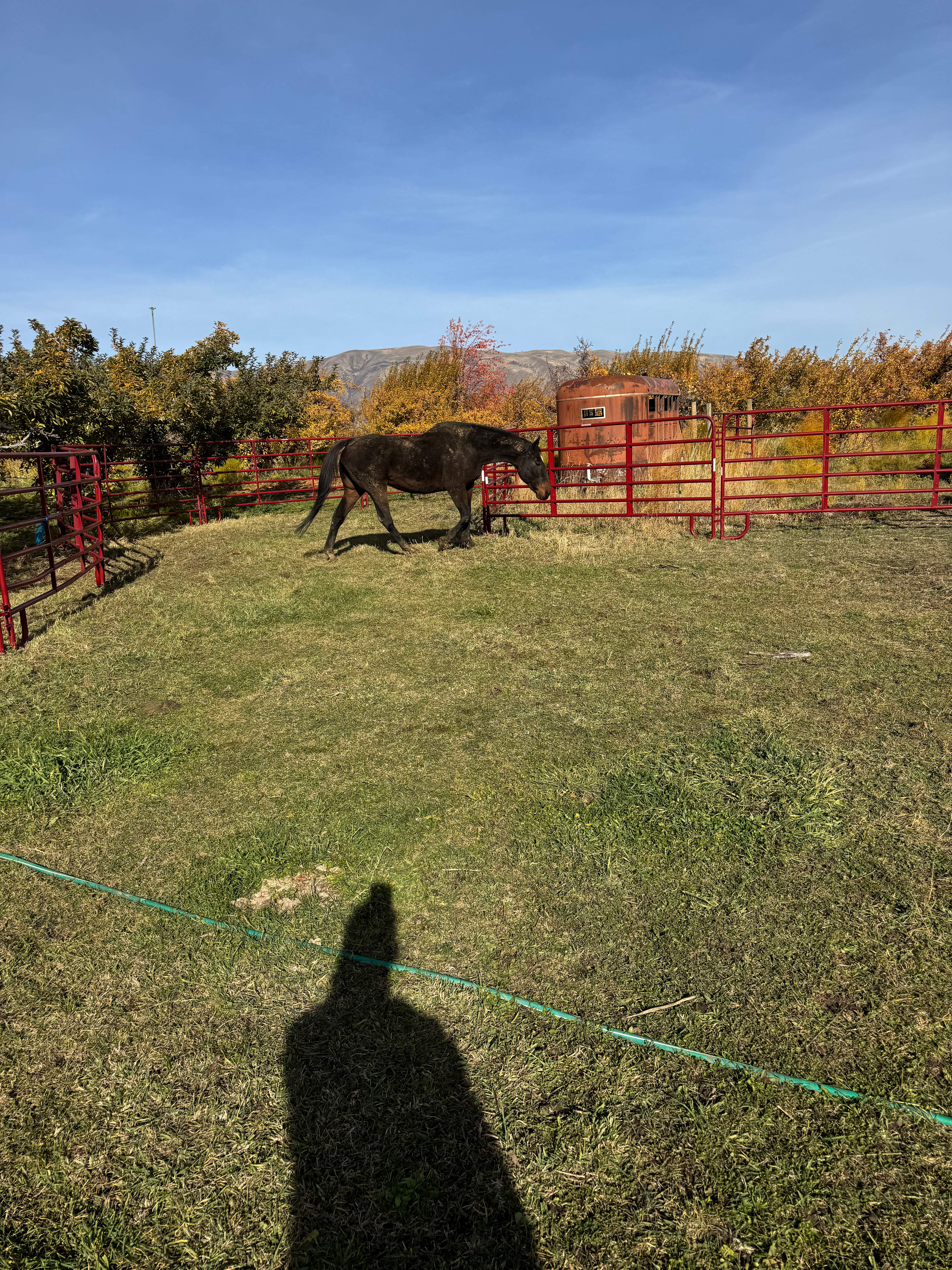 Nemo Farms