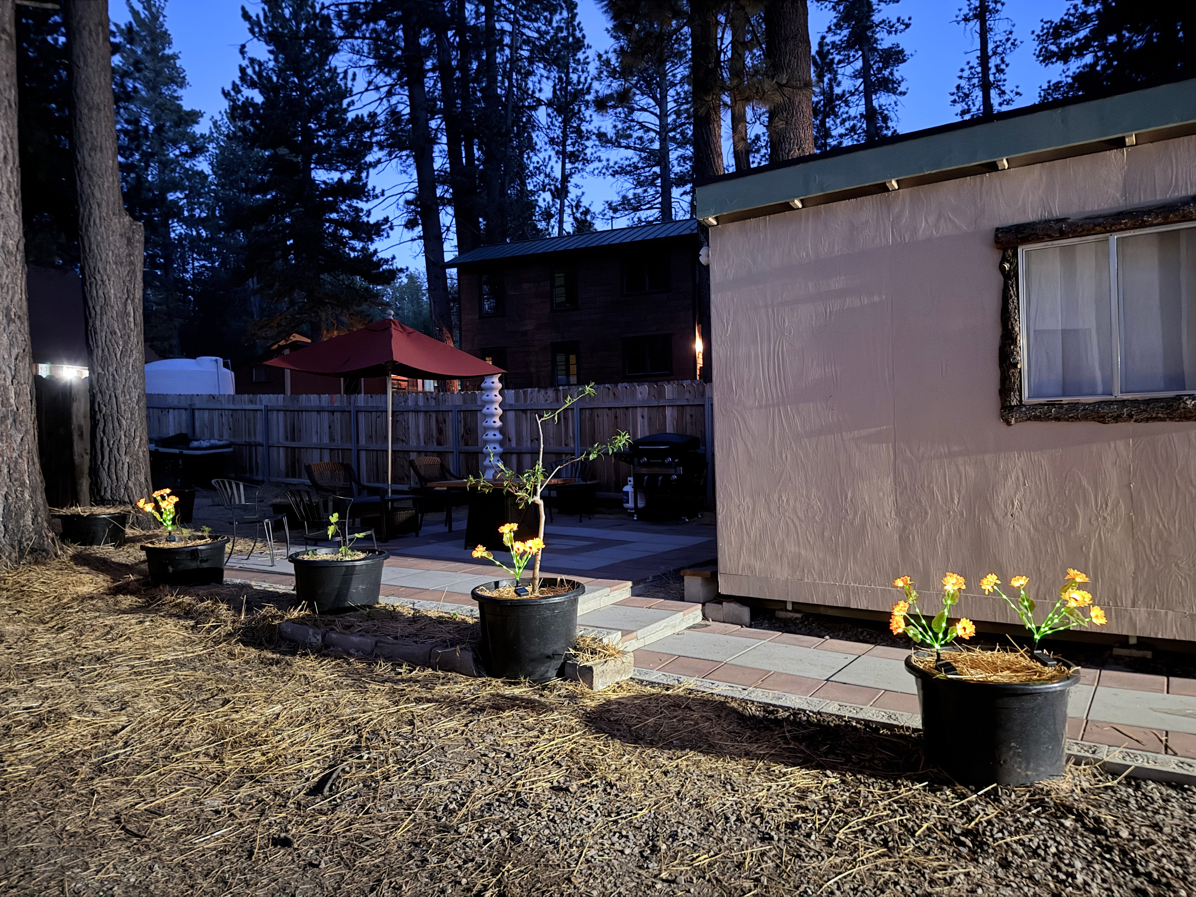 Big Bear Lake Tiny Home