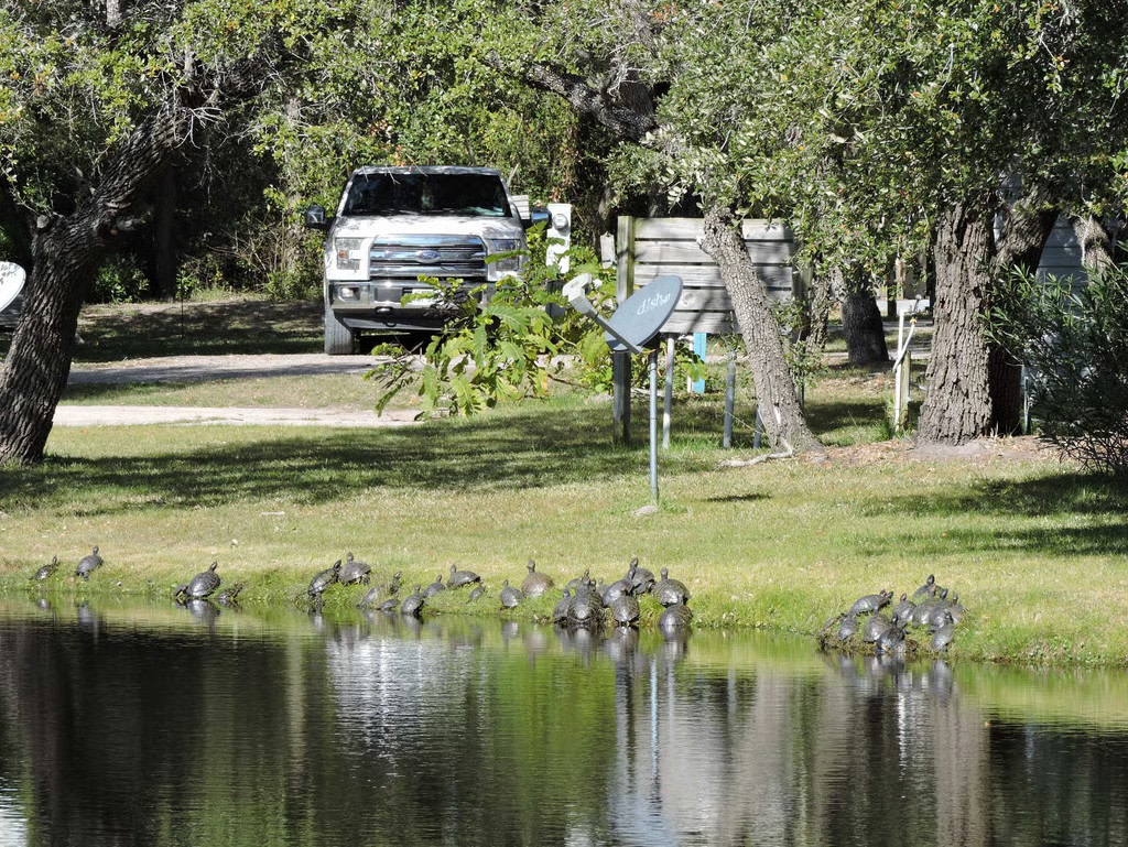 Bay View RV Resort