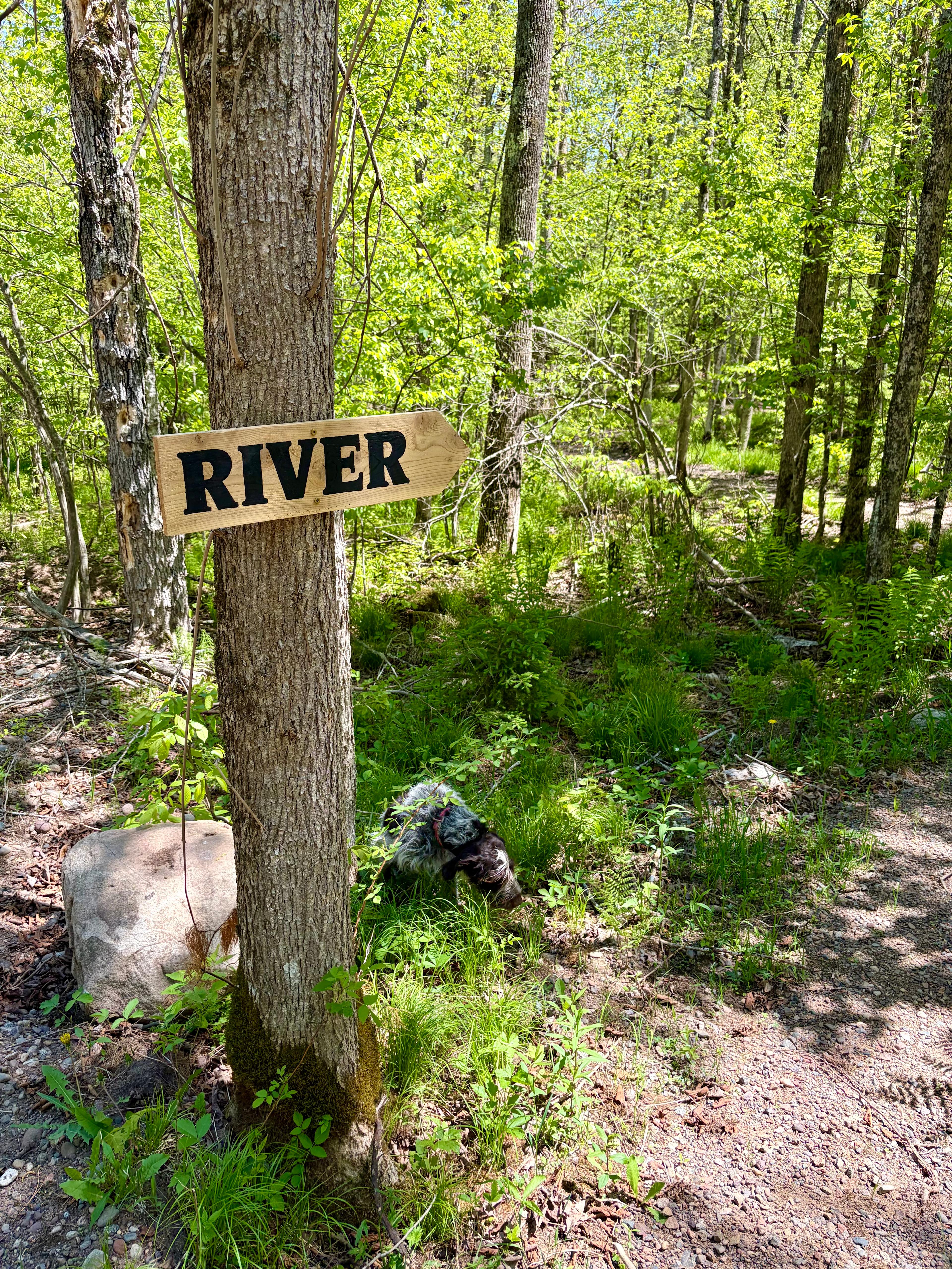 Camp Wanderlust Riverside Camping