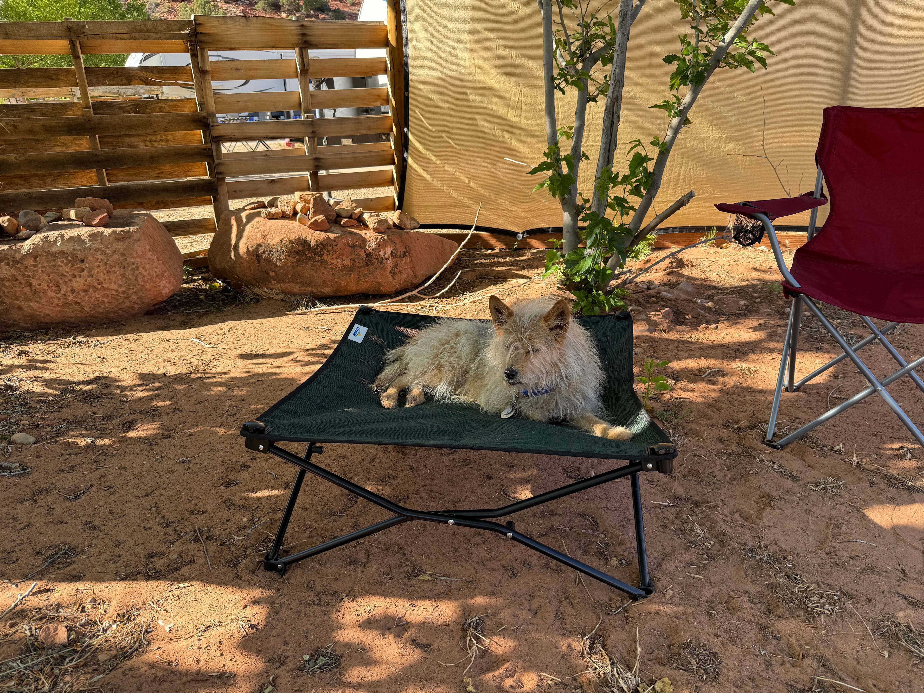 Desert Bloom Campground