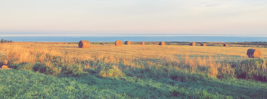 Ocean View RV Stay