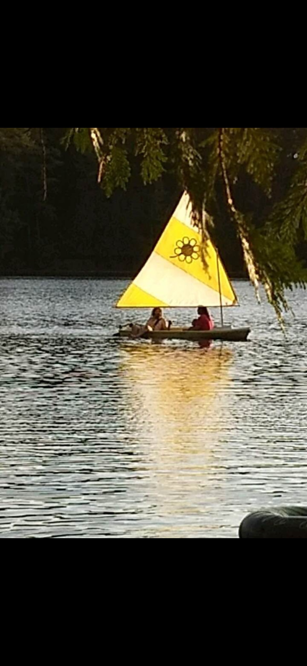 Healy Lake Resort and Boat Rental