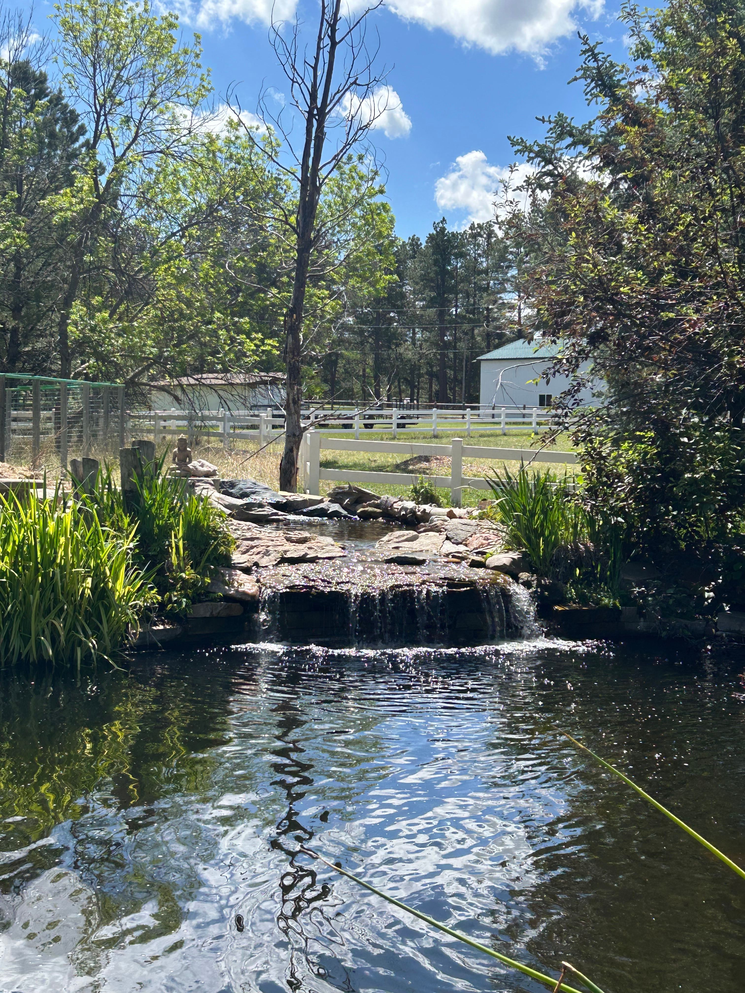 Damselfly Farms