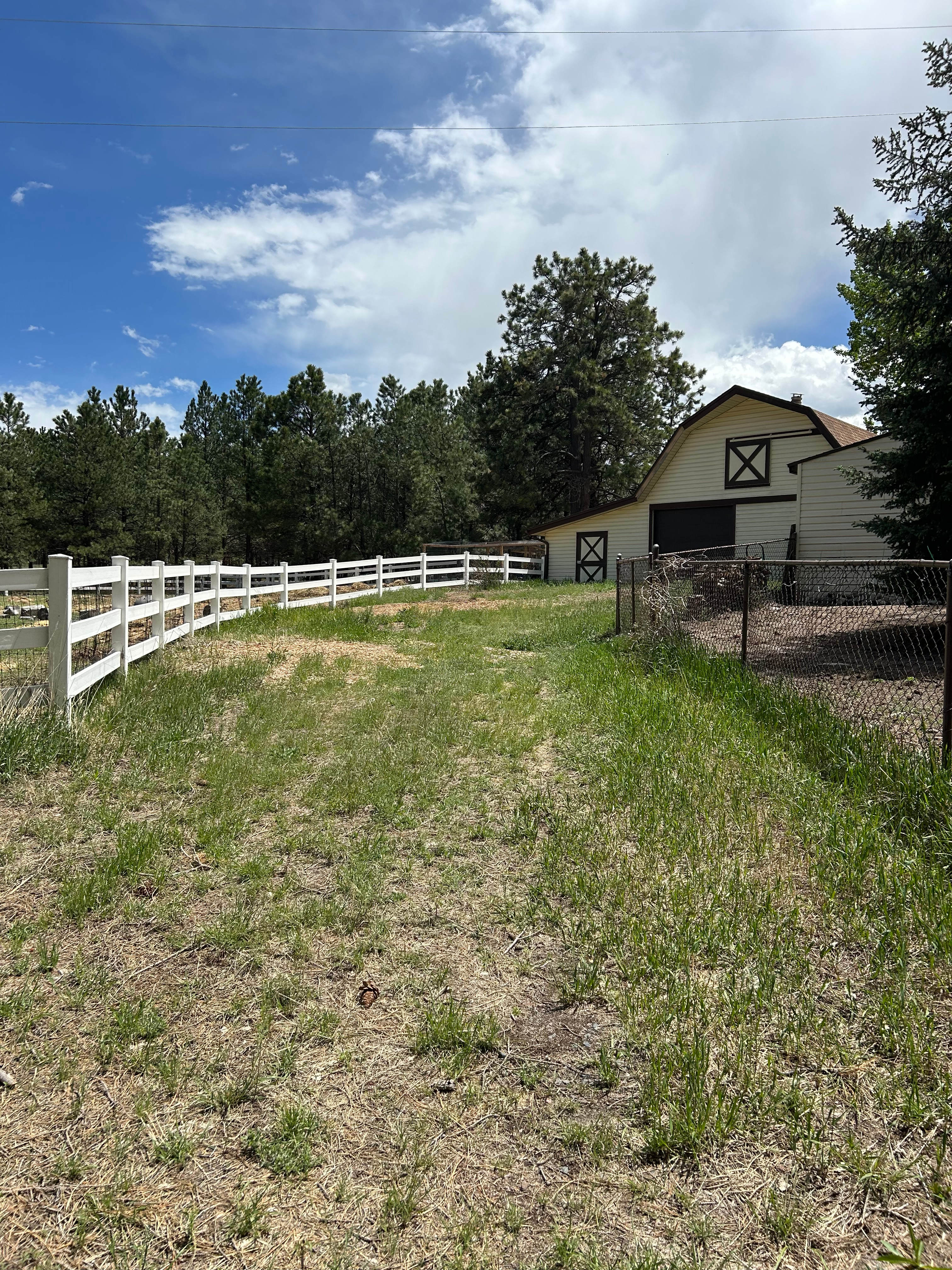 Damselfly Farms