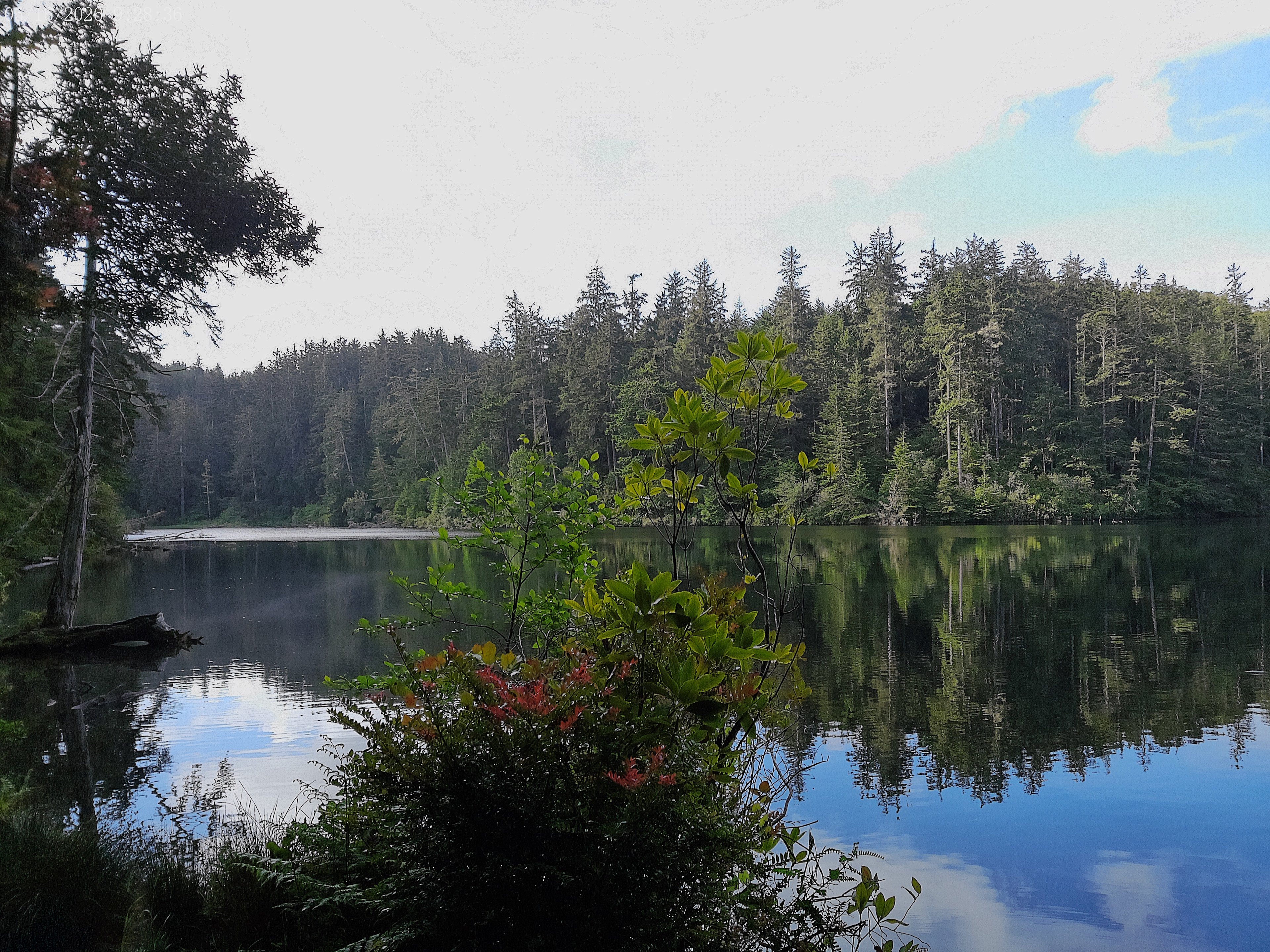 Umpqua Lighthouse State Park