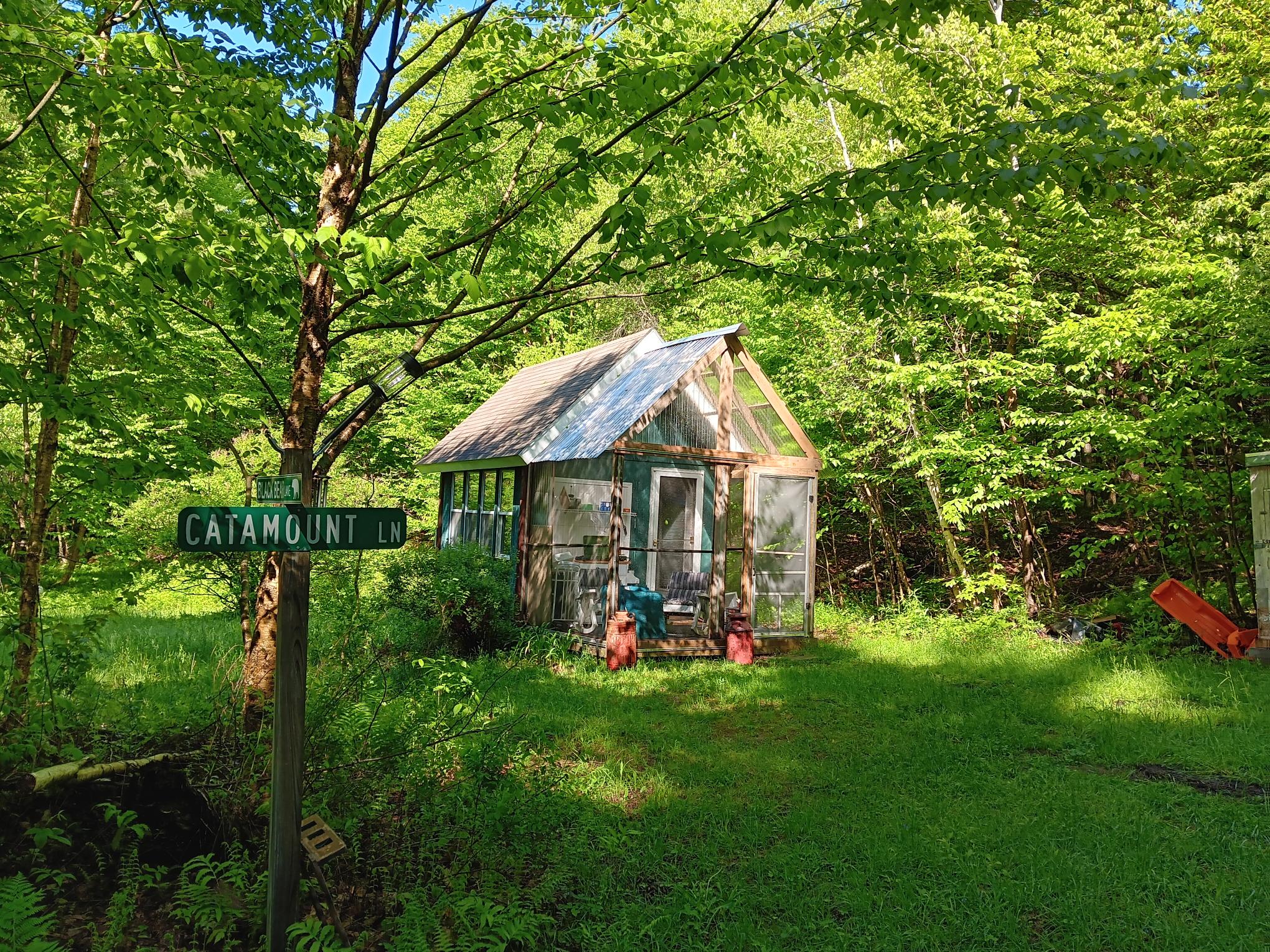 Bear Necessities, Richford