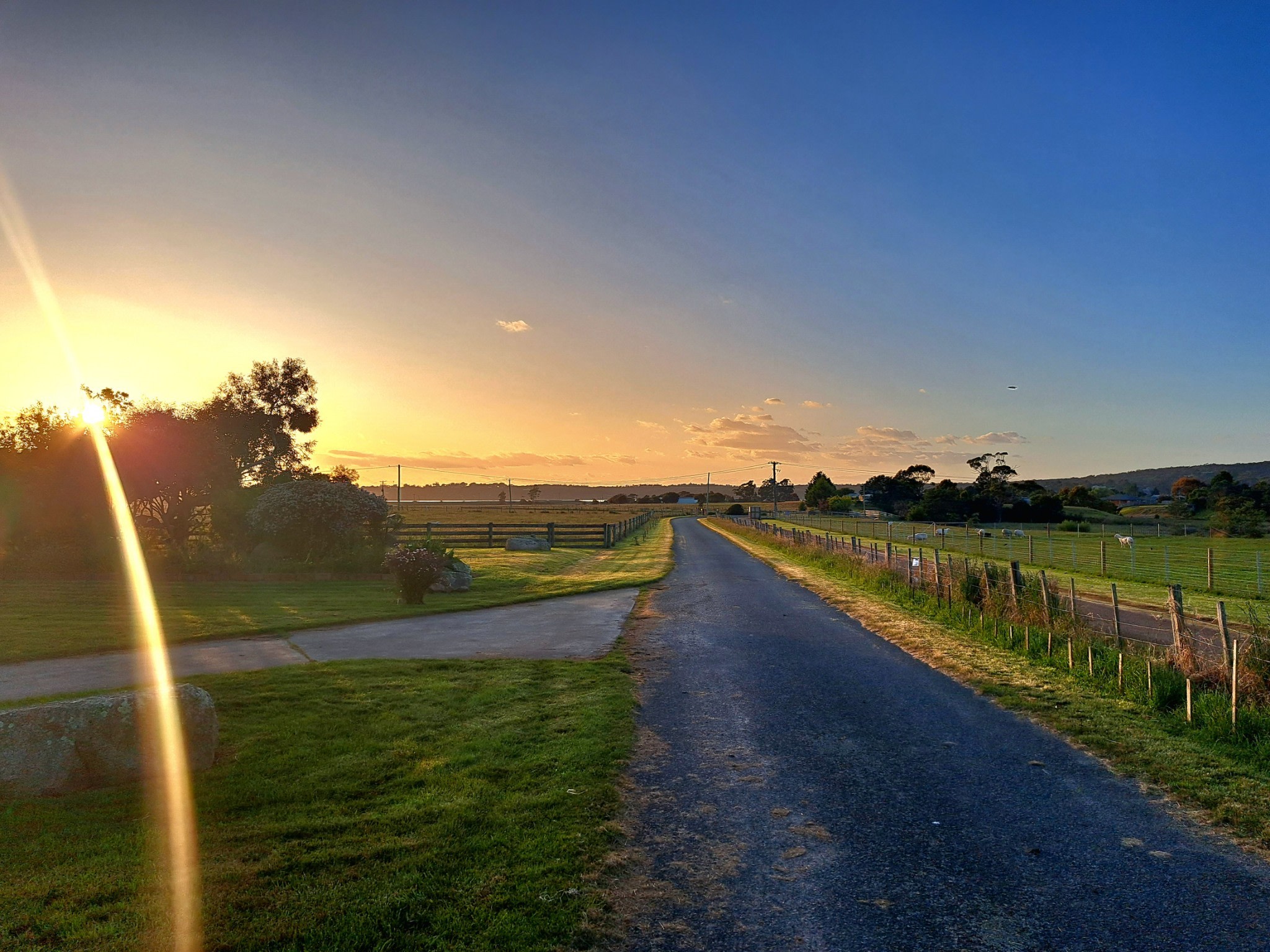 Alandale Farm