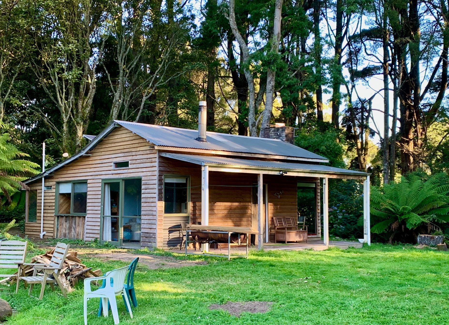 Cabin in the Forest