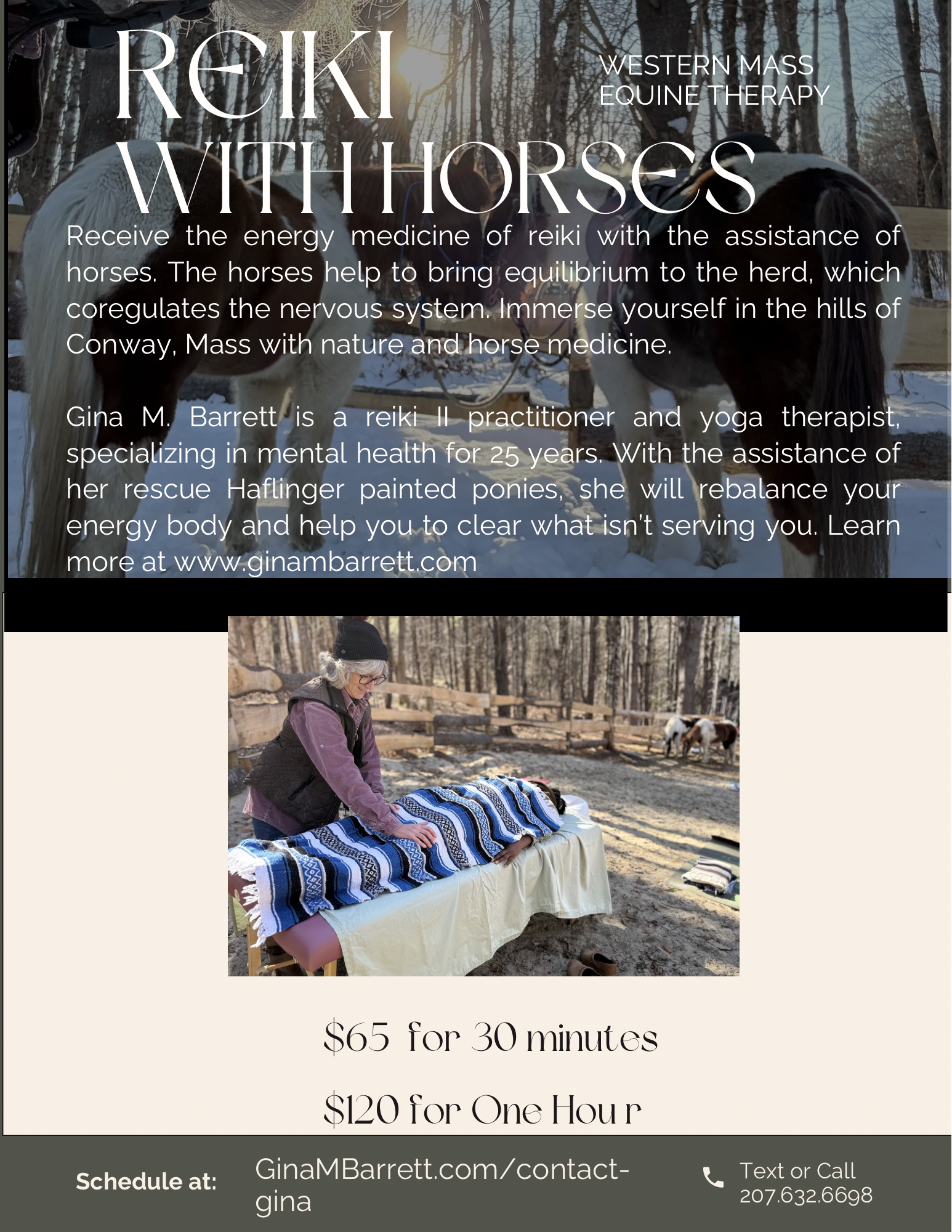Western Mass Equine Therapy