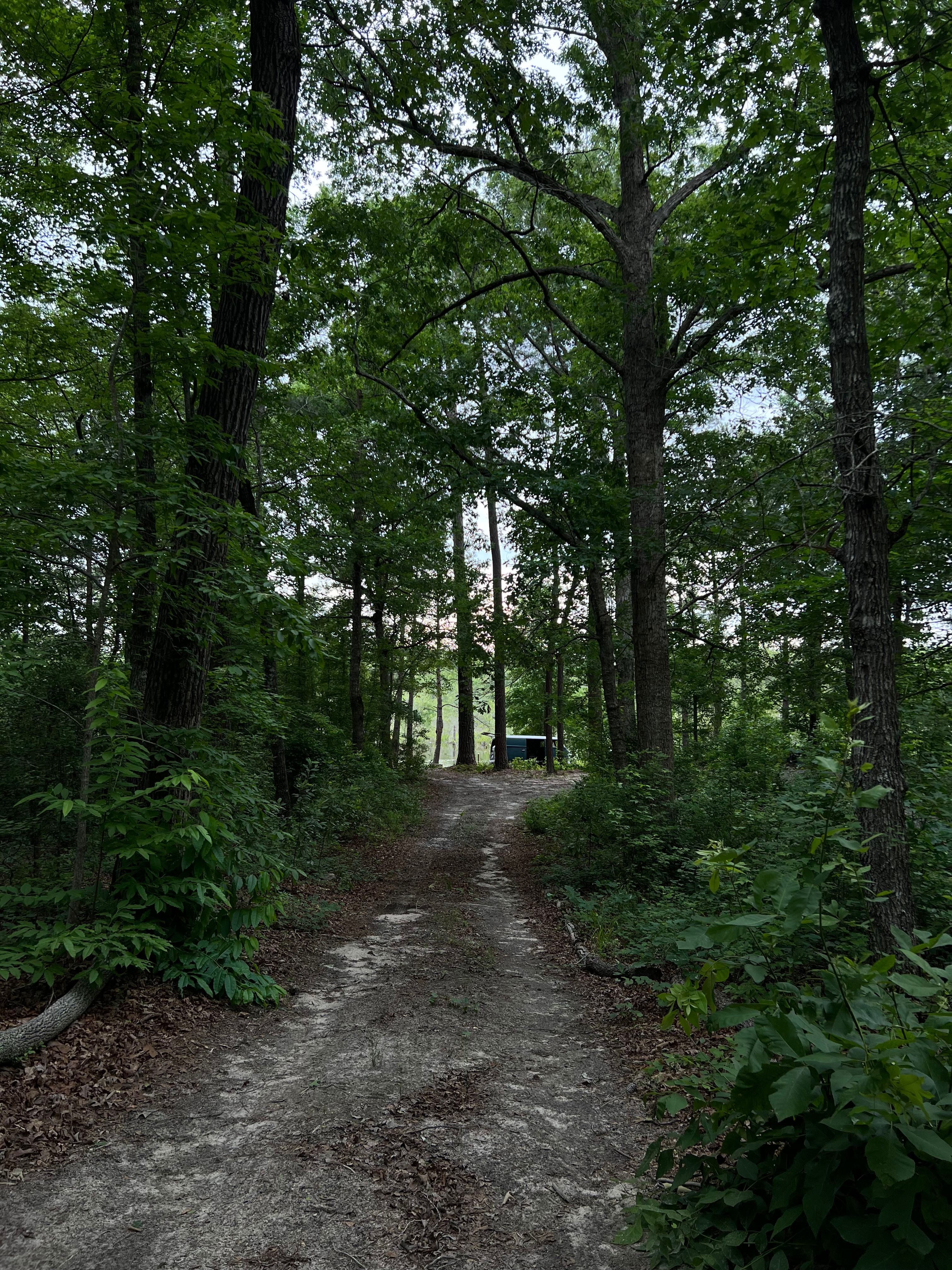 Campground entrance driveway, there is a post with the street # as well
