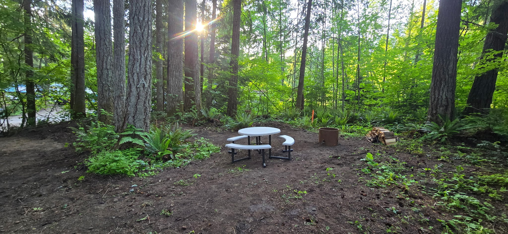 Evergreen Escape Camp