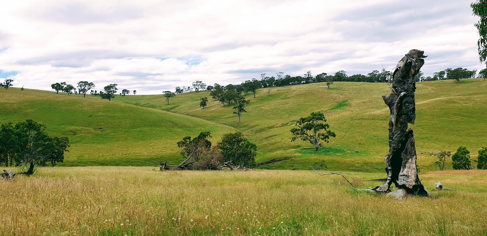 Stable Hill Farm Camping Glenmaggie