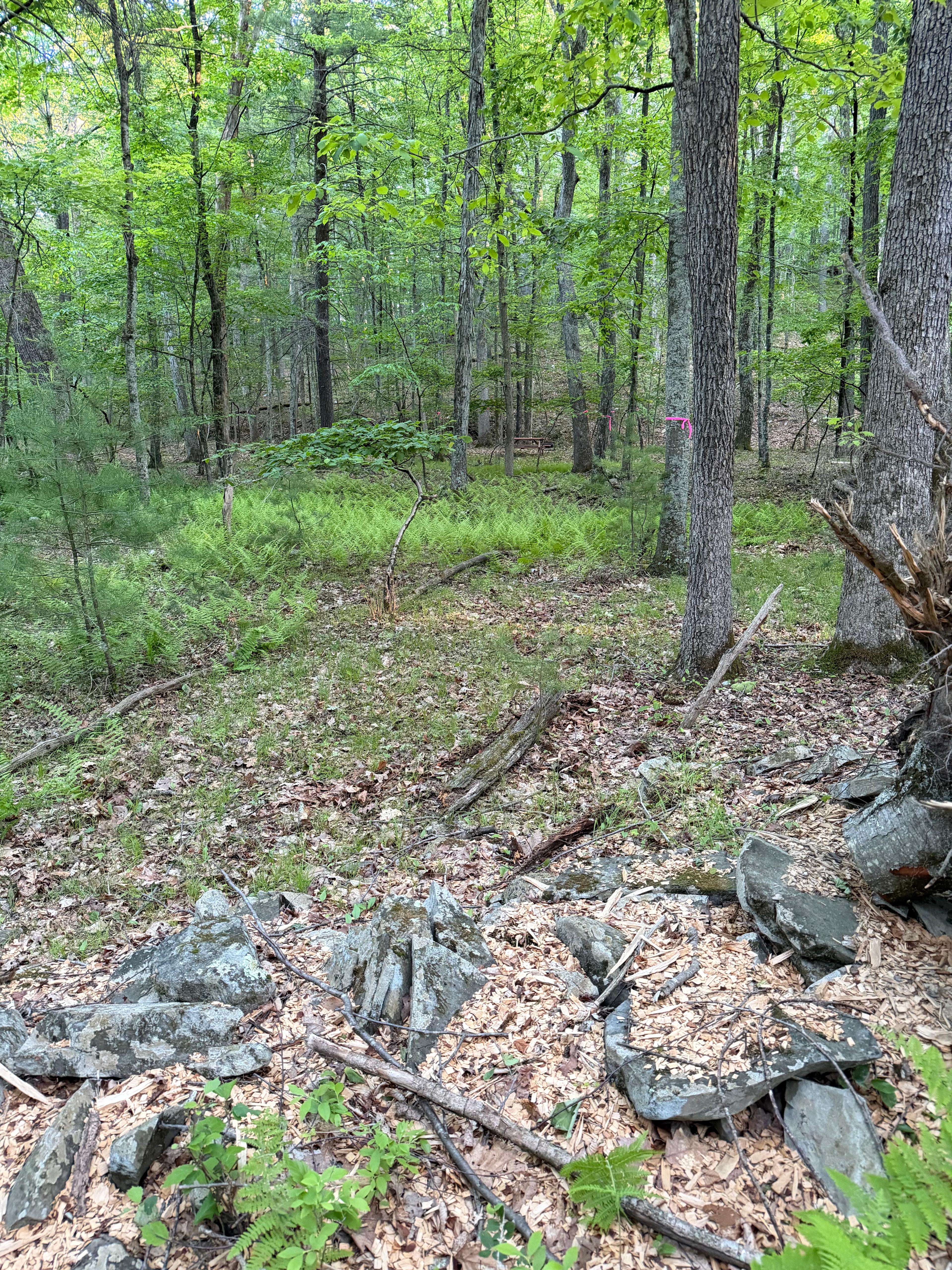 Log & Twig Retreat