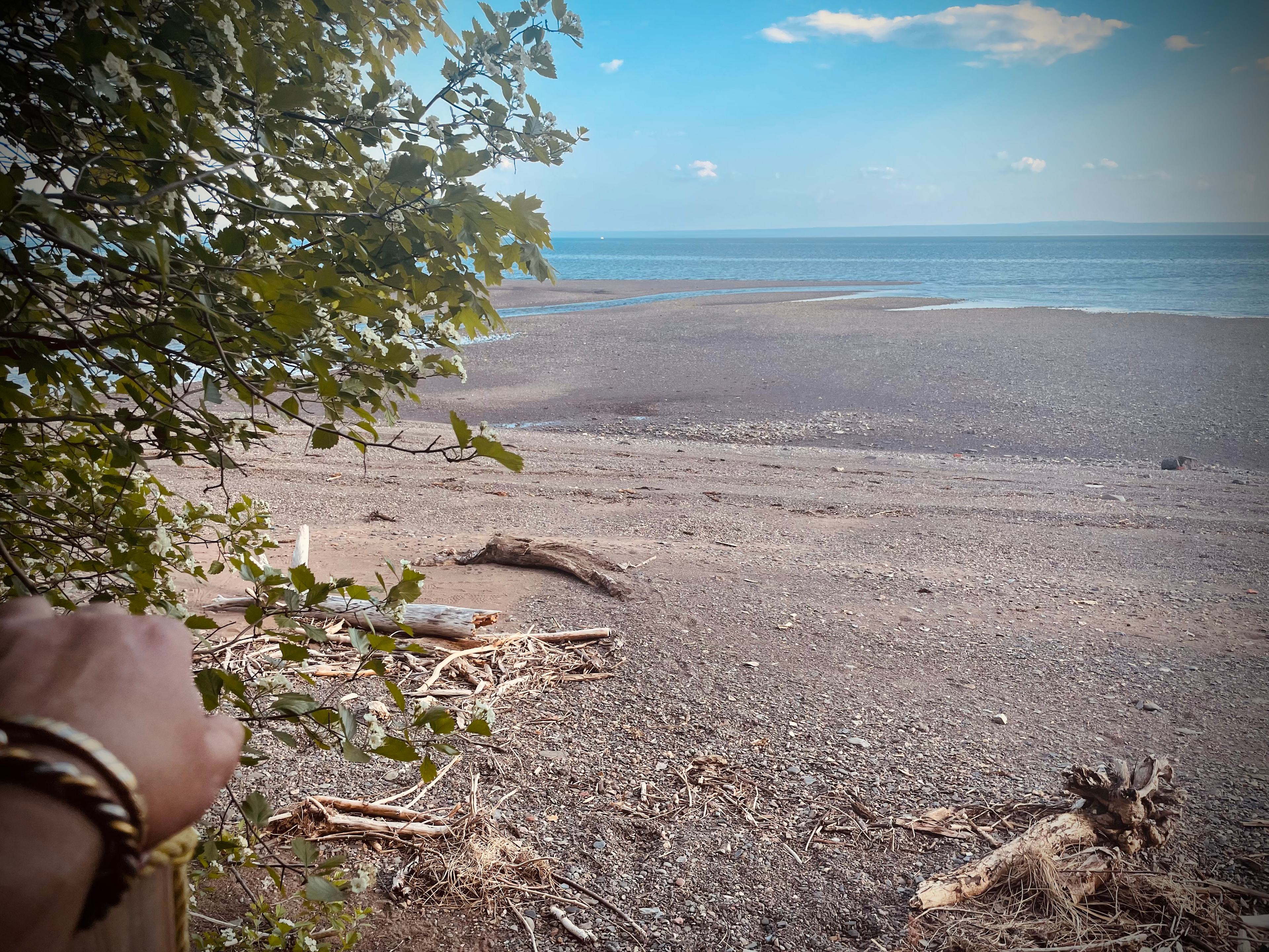 Carleton-sur-mer