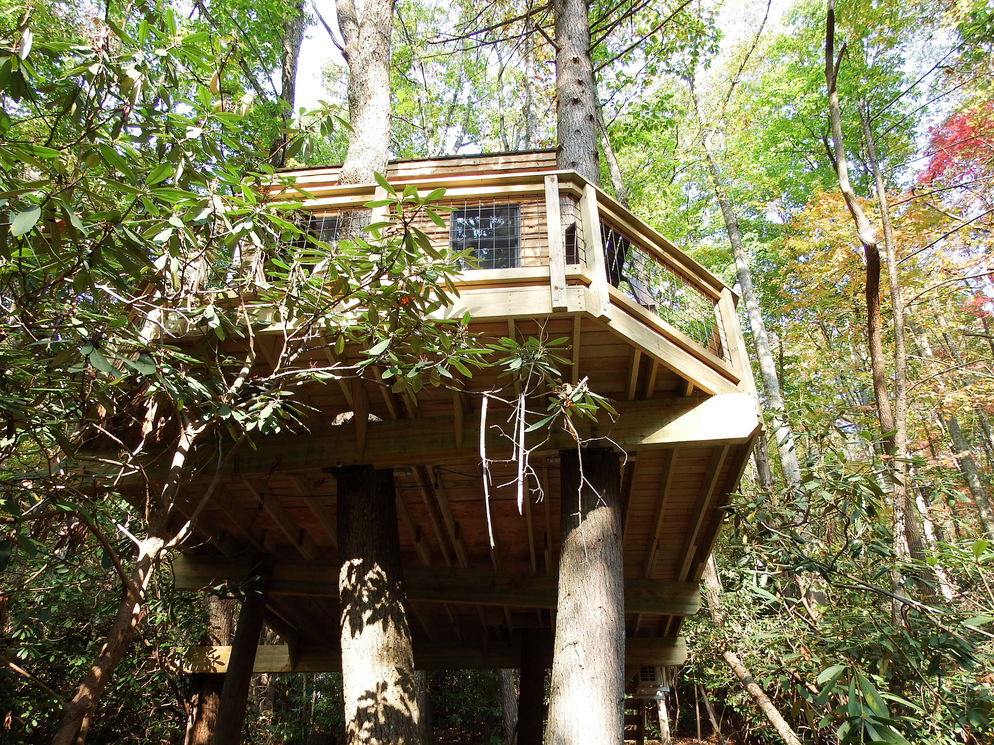 The Hidden Hemlock Treehouse