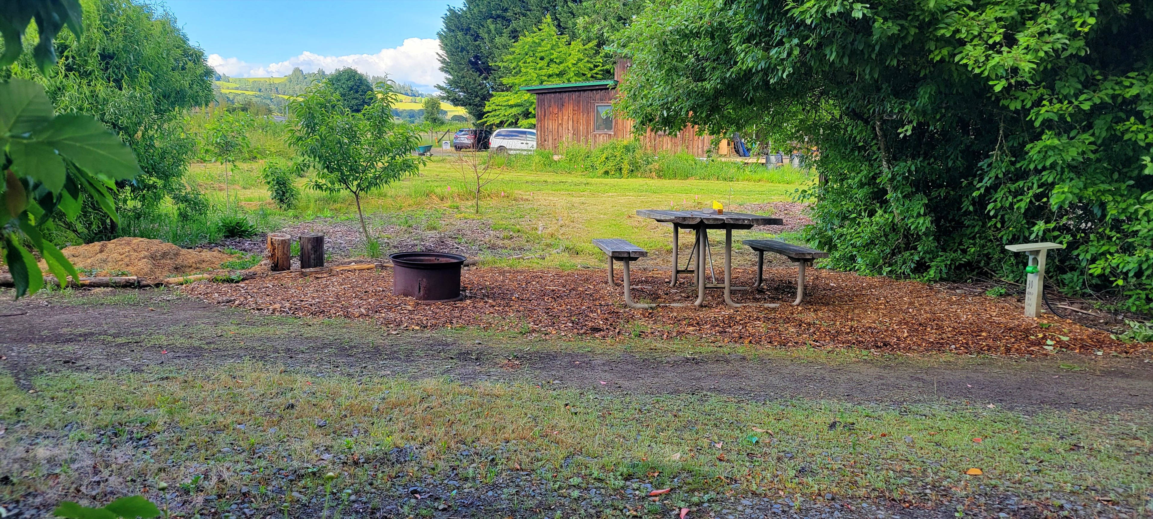This is the campsite facing East.  You can see our home on the other side of the property.  There is a nice view of Red Hill on sunny days.