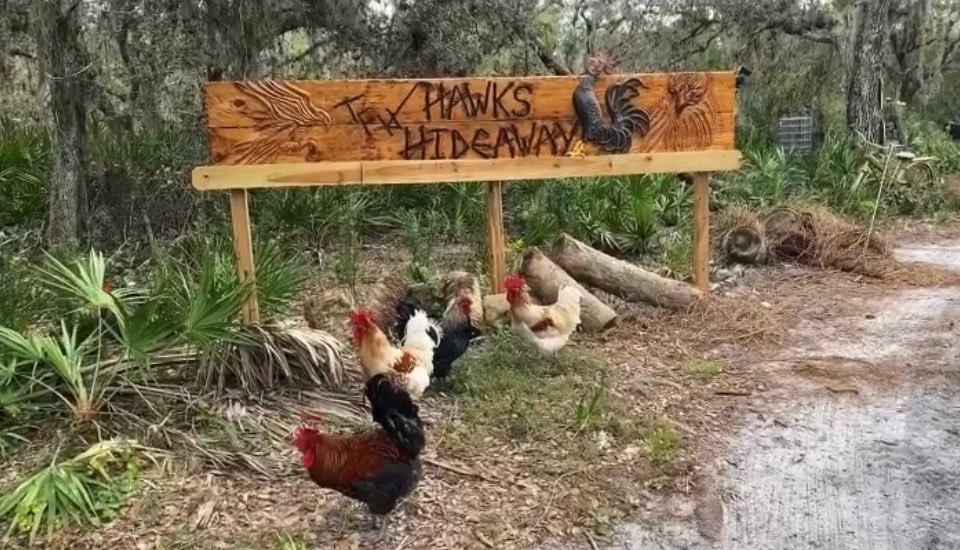 Hawk’s Hideaway.