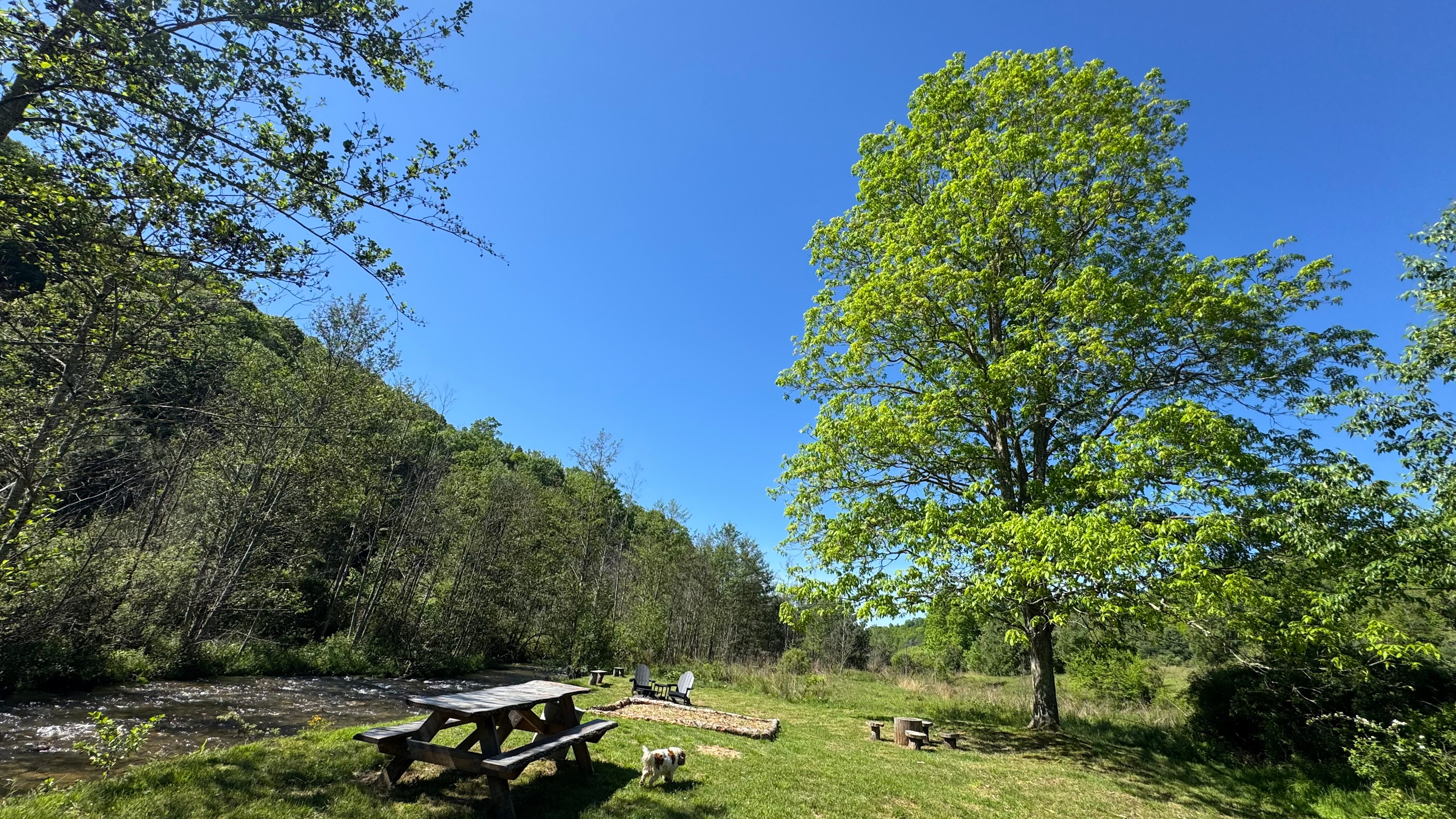 Homestead Overland Virginia