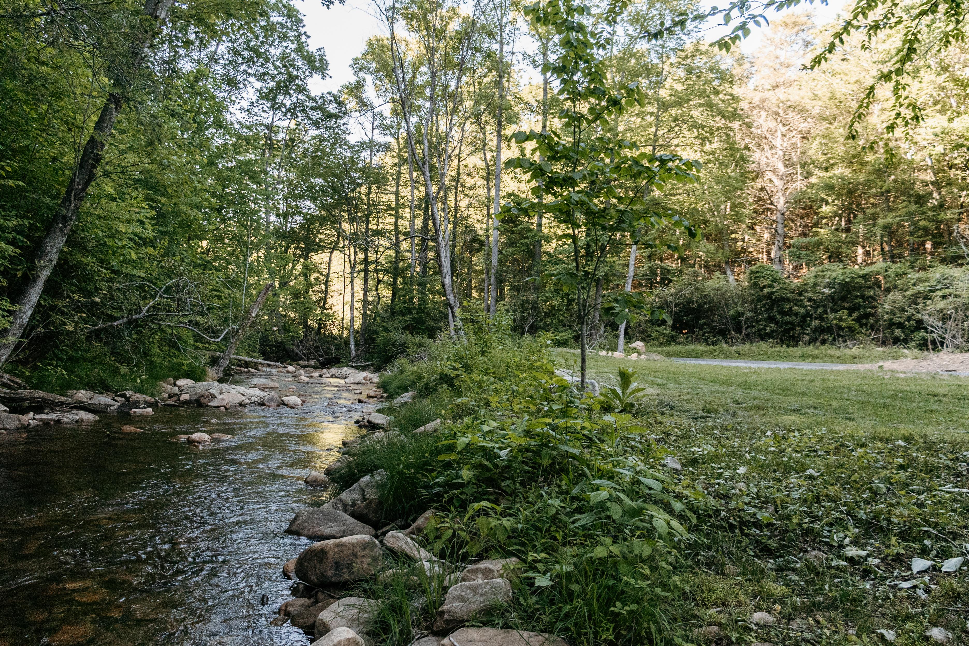 Camp Cressy Creek