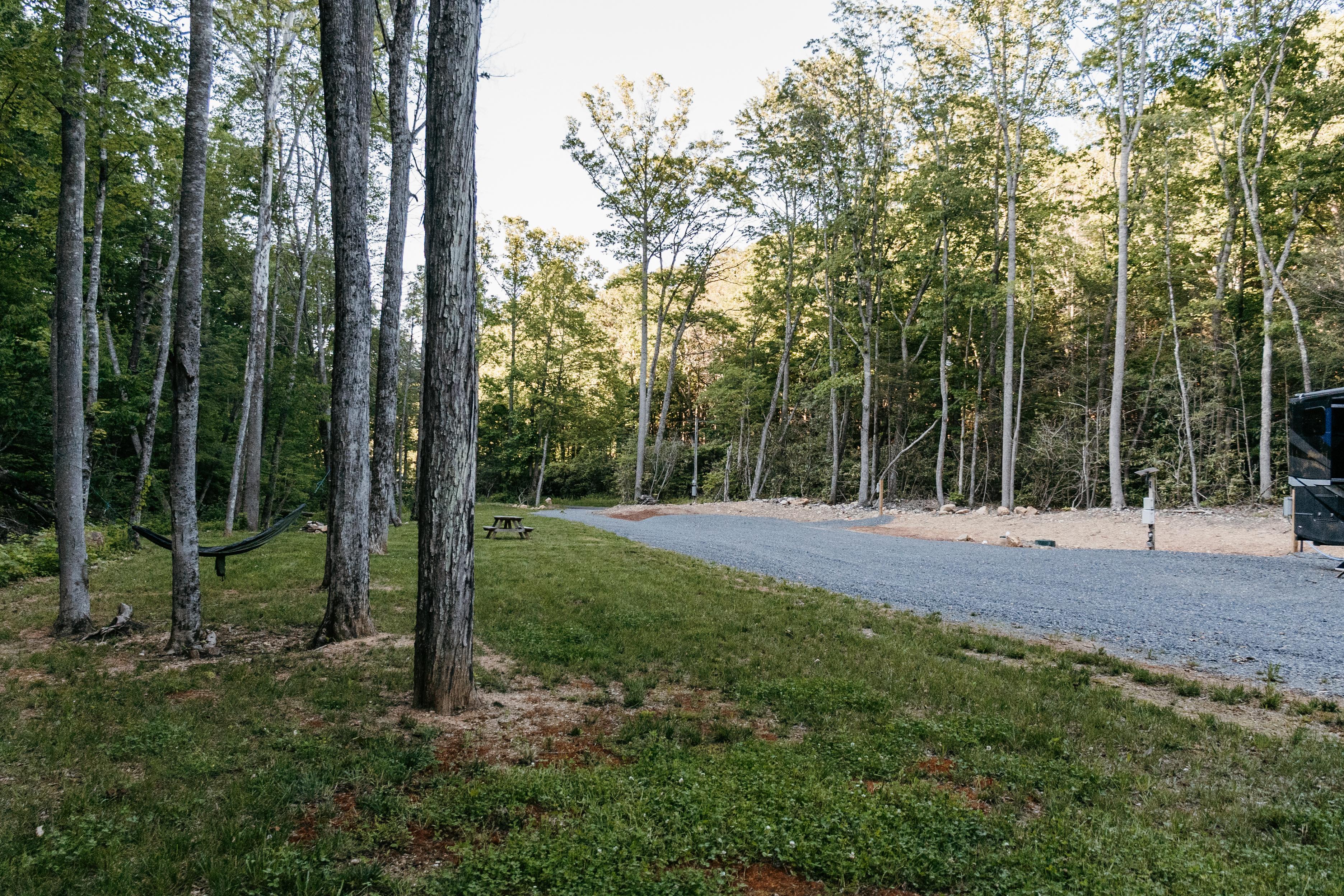 Camp Cressy Creek