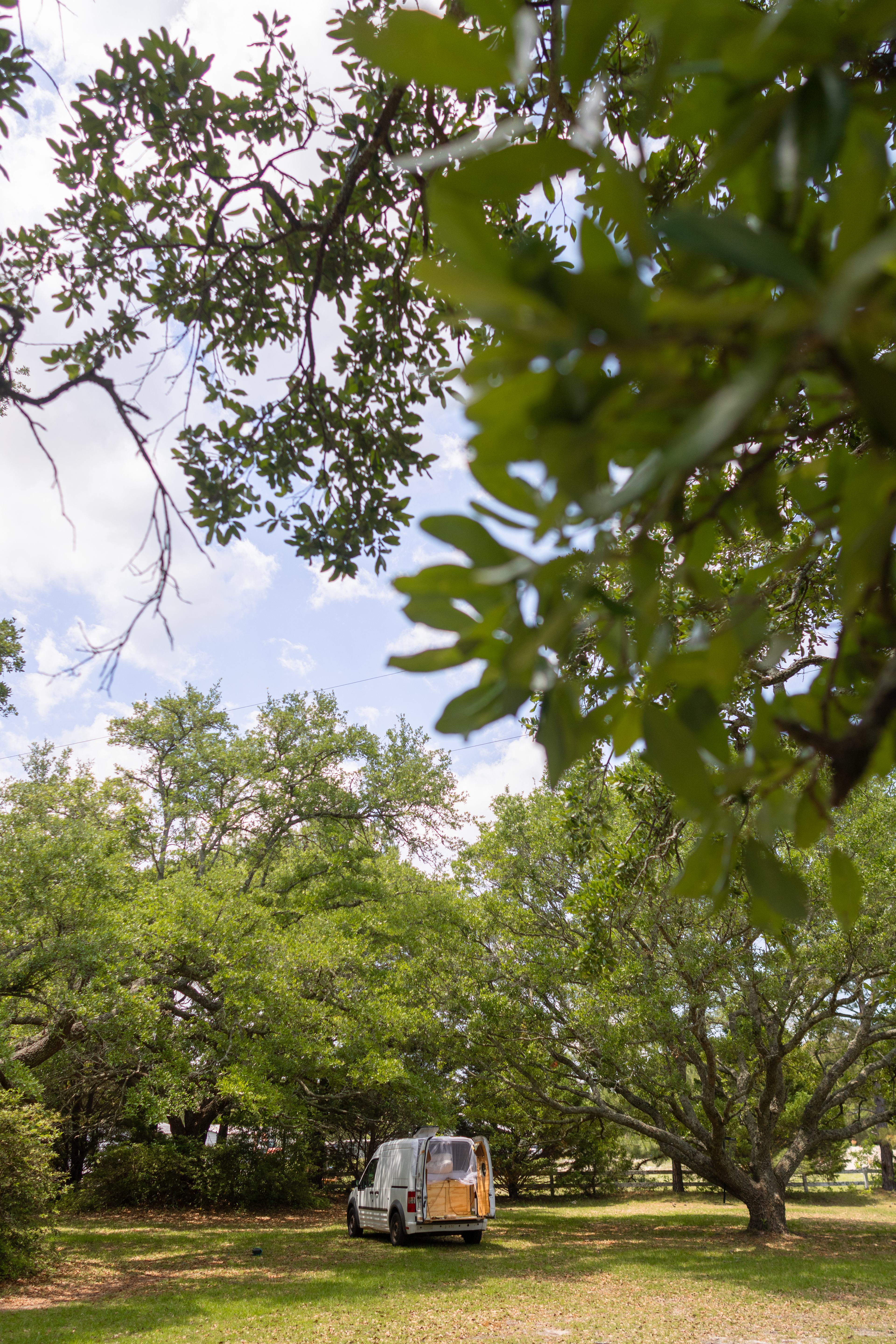 Live Oaks Farm