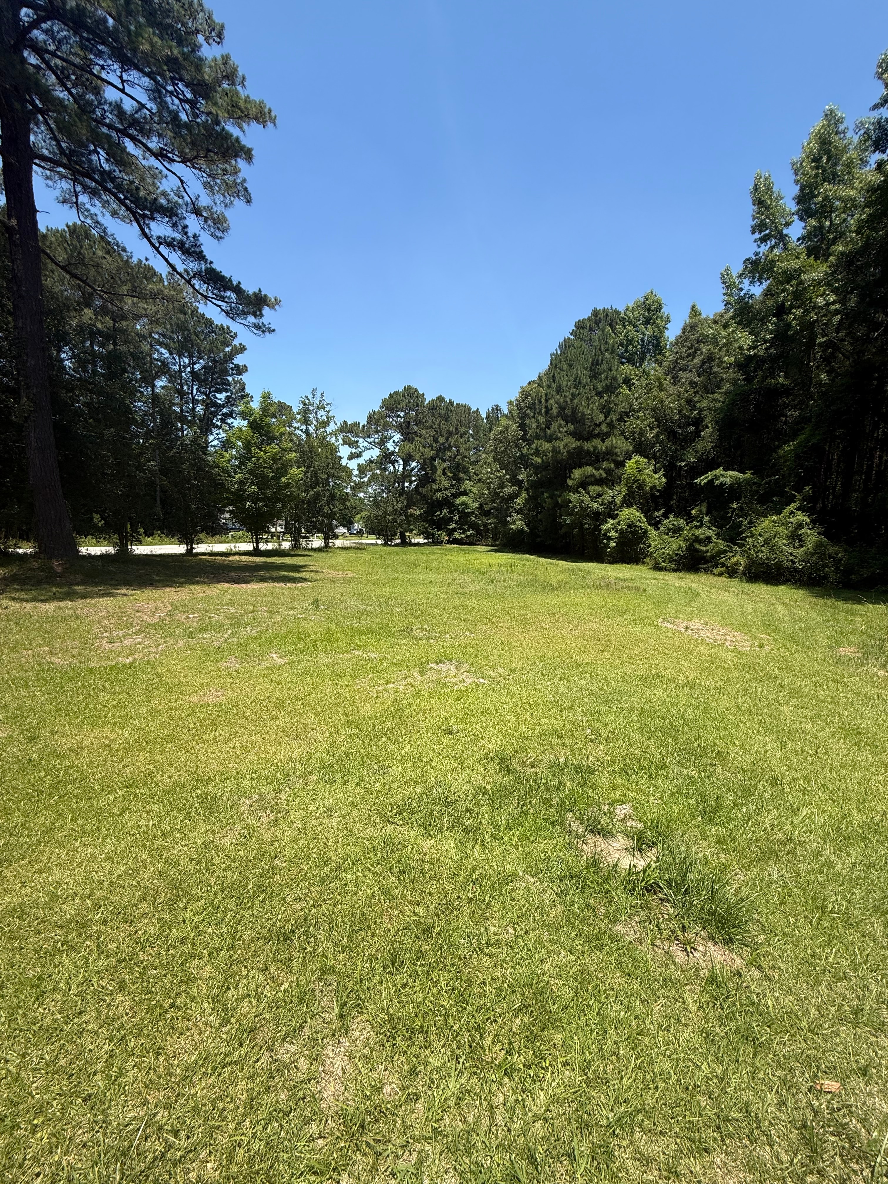 Large cut grass field on Tree line