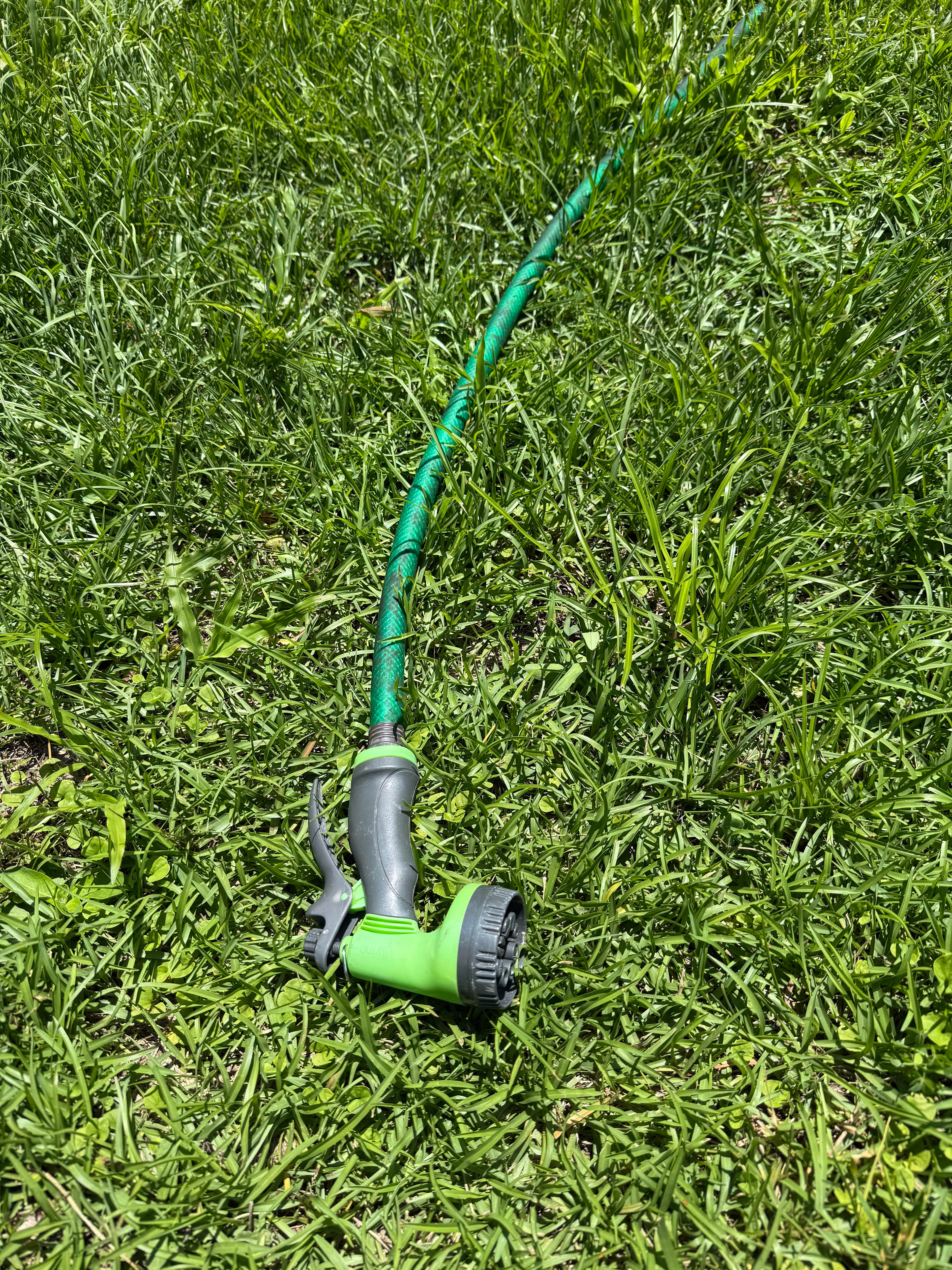 Large cut grass field on Tree line