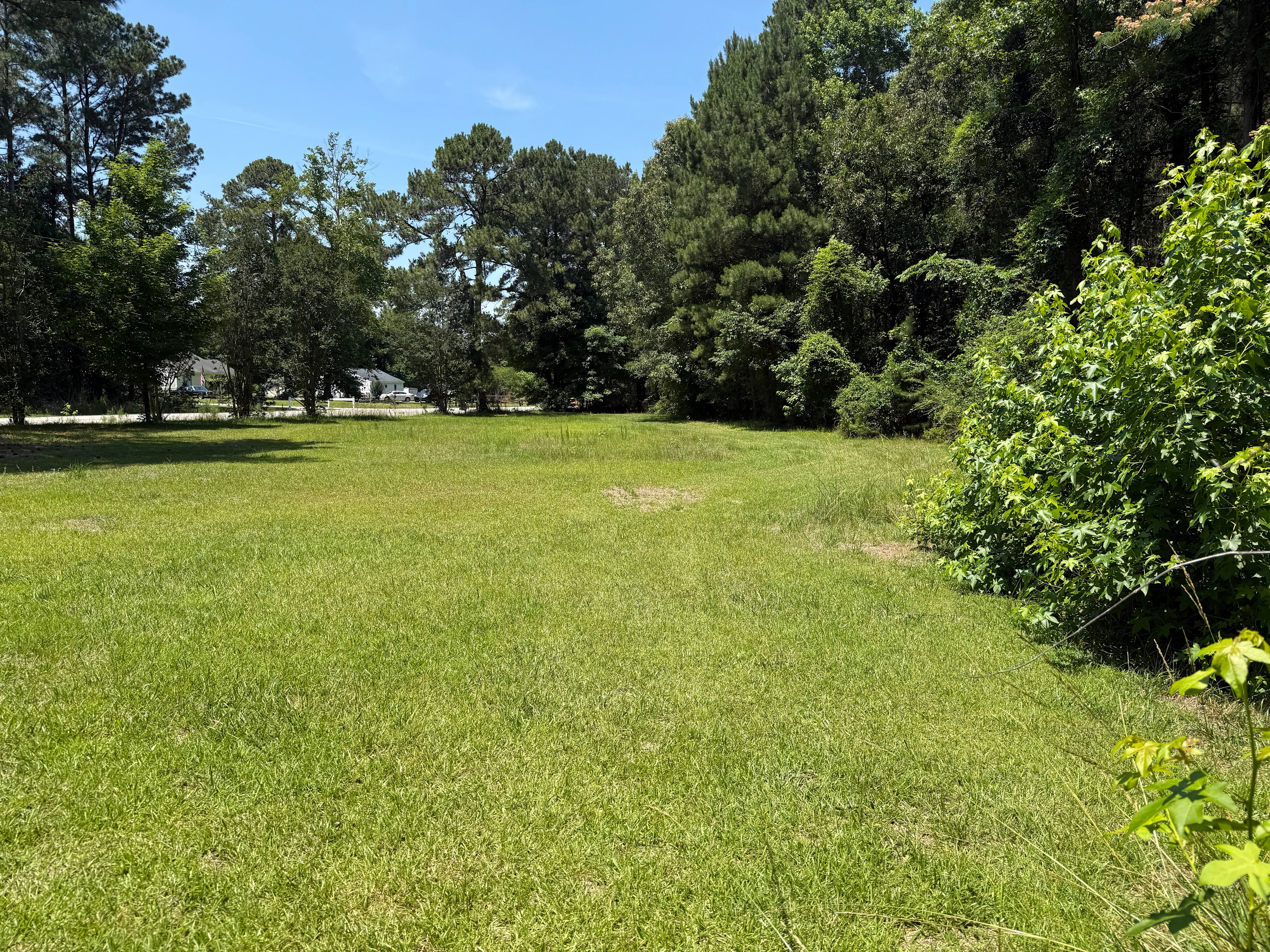 Large cut grass field on Tree line