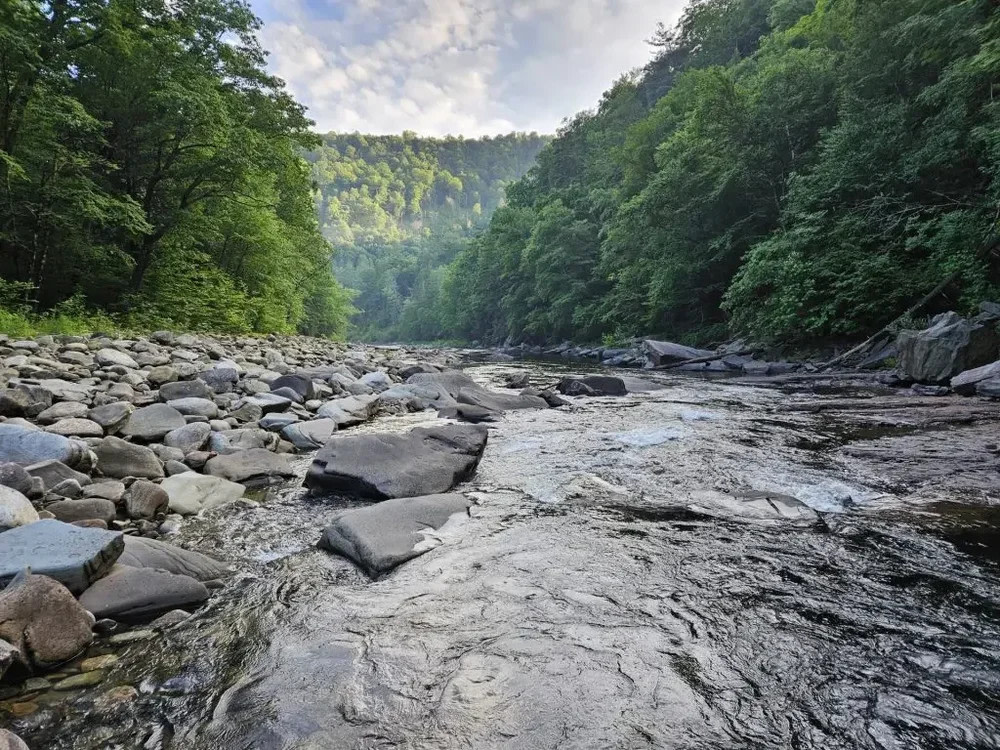 Best Campground Near Me