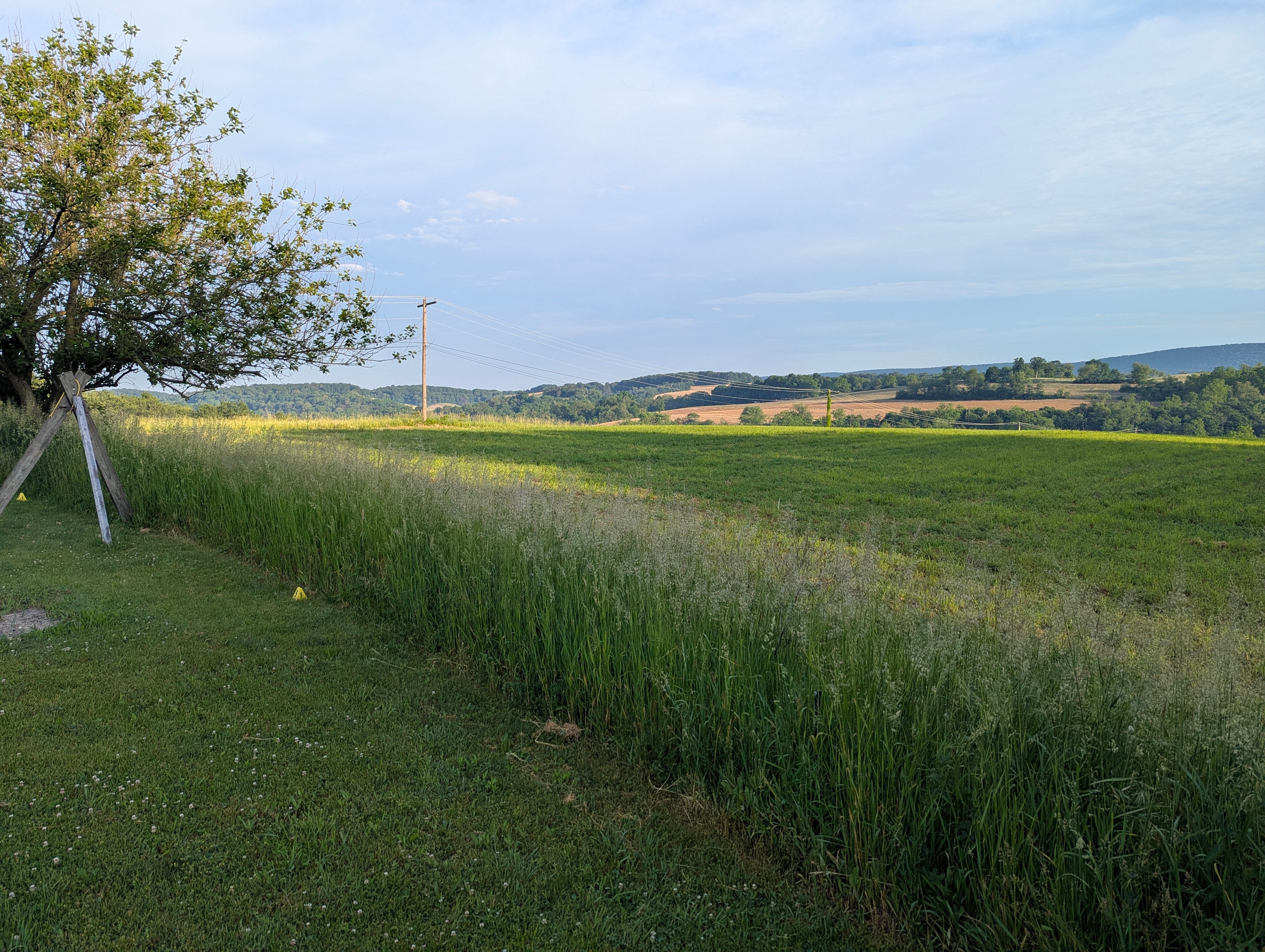 Breezy Acre Campsites