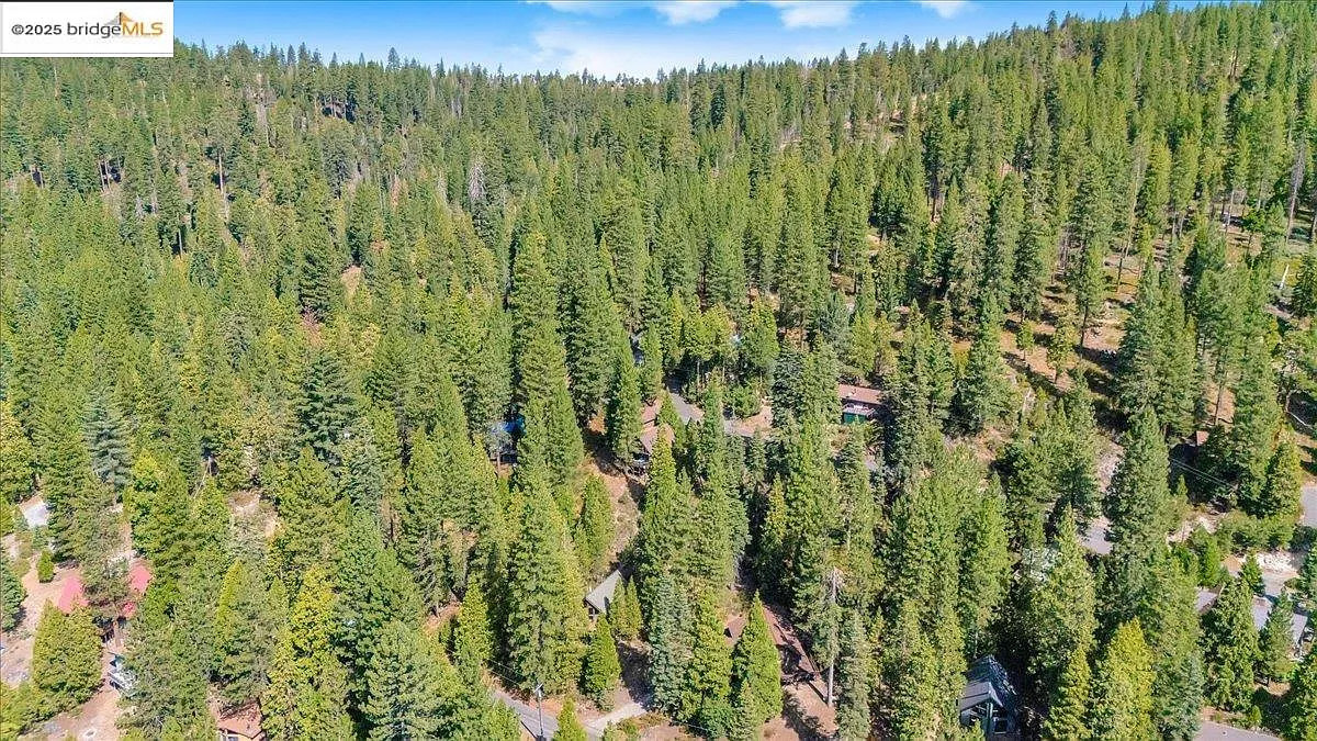 The Pine Canopy Cabin | Cozy Glamping near Pinecrest Lake