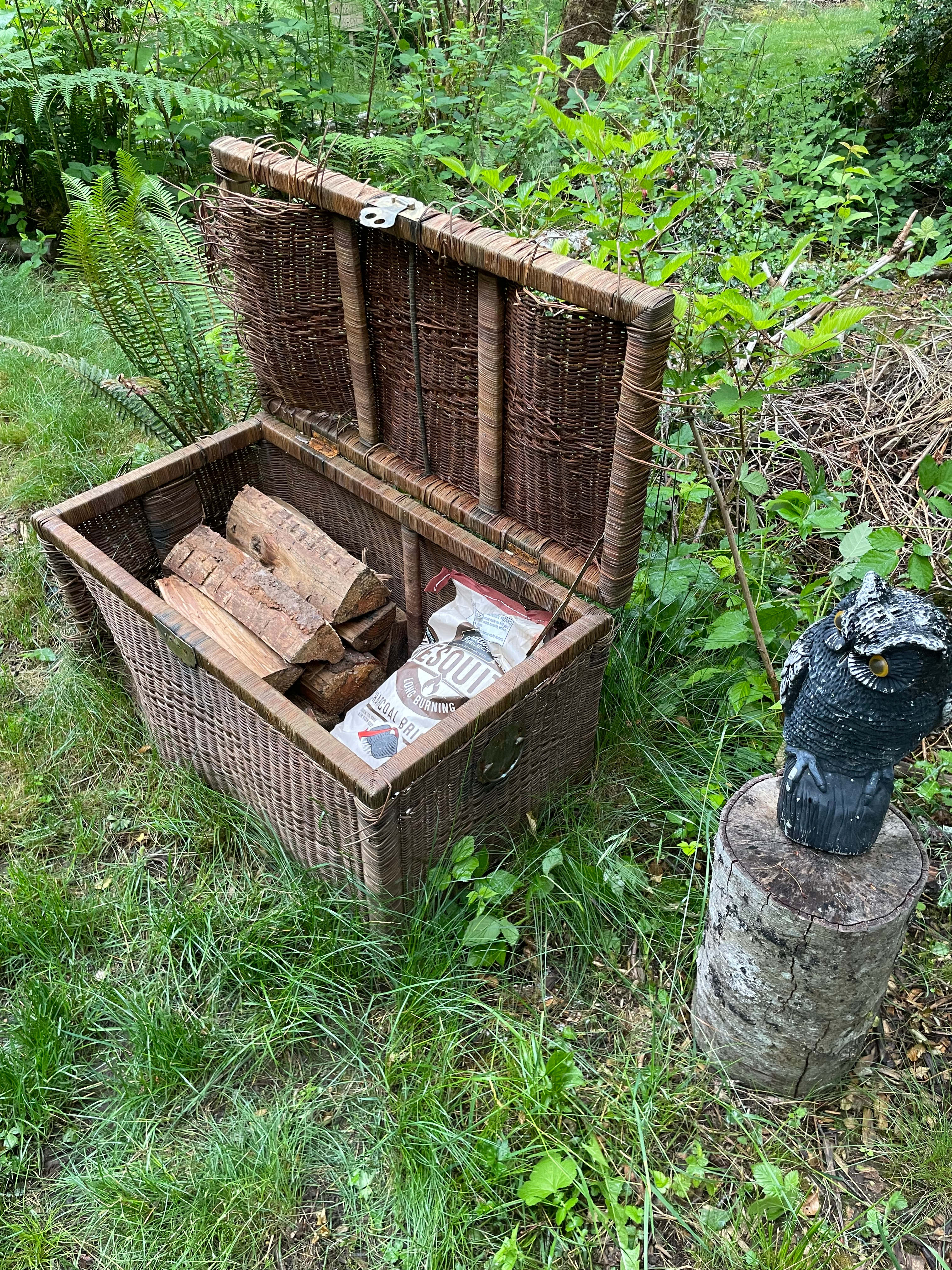 Firewood and BBQ coals
