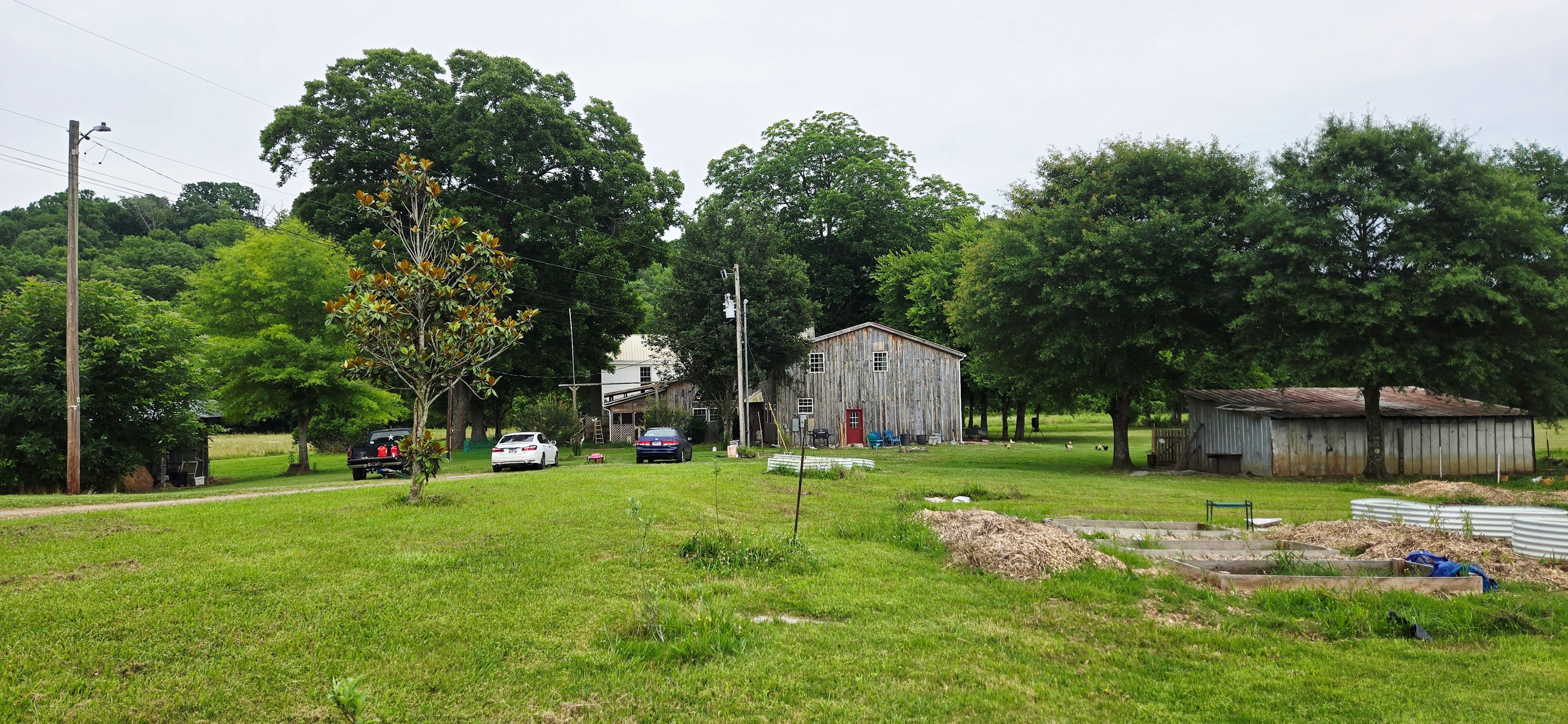 Petal & Pastures Farm