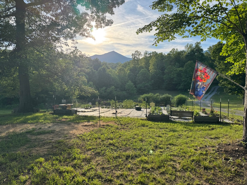 Hummingbird Acres