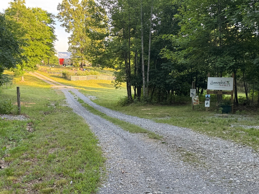 Hummingbird Acres